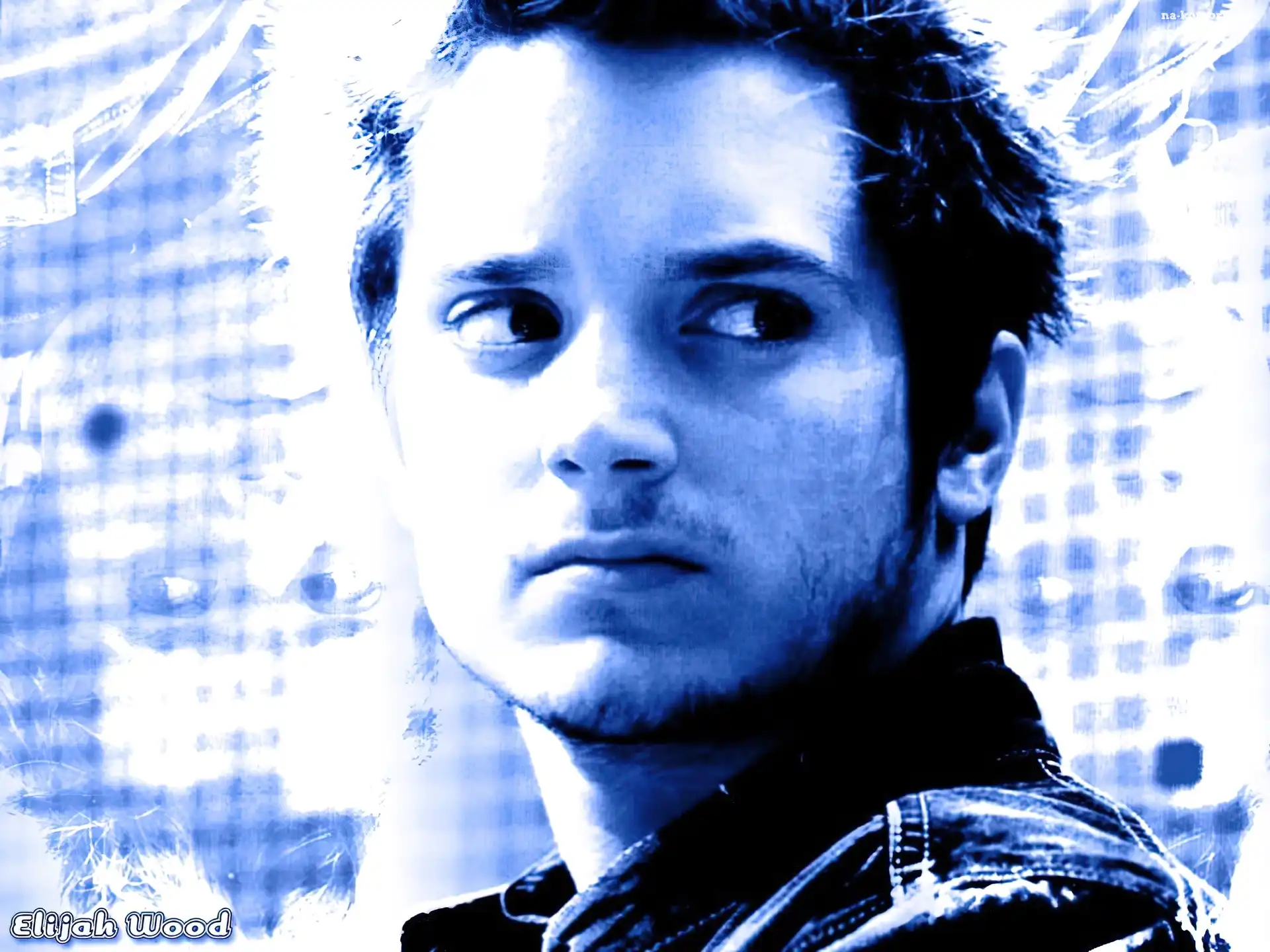 Elijah Wood, twarz, bródka