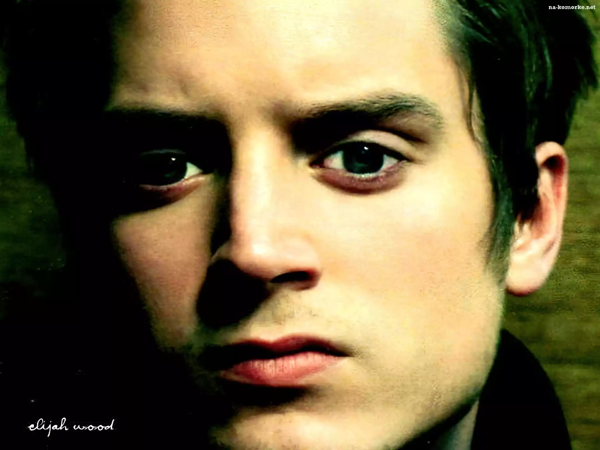 Elijah Wood, zielone oczy, twarz