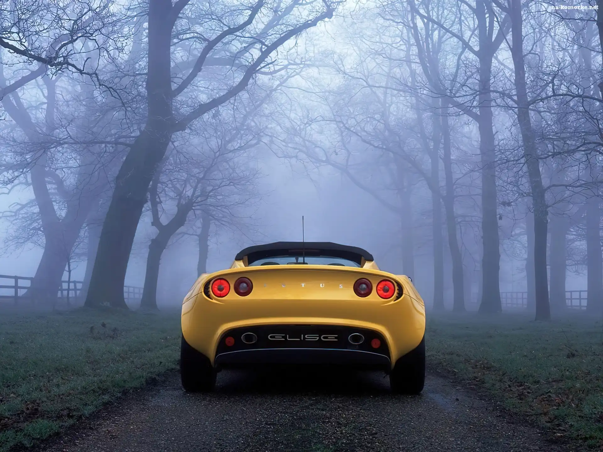 Lotus Elise, Tył
