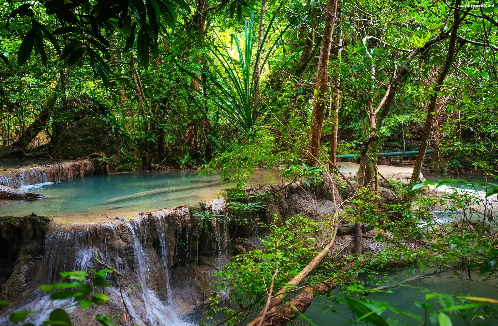 Las, Prowincja Kanchanaburi, Tajlandia, Wodospad Erawan waterfall, Drzewa, Krzewy, Park Narodowy Erawan