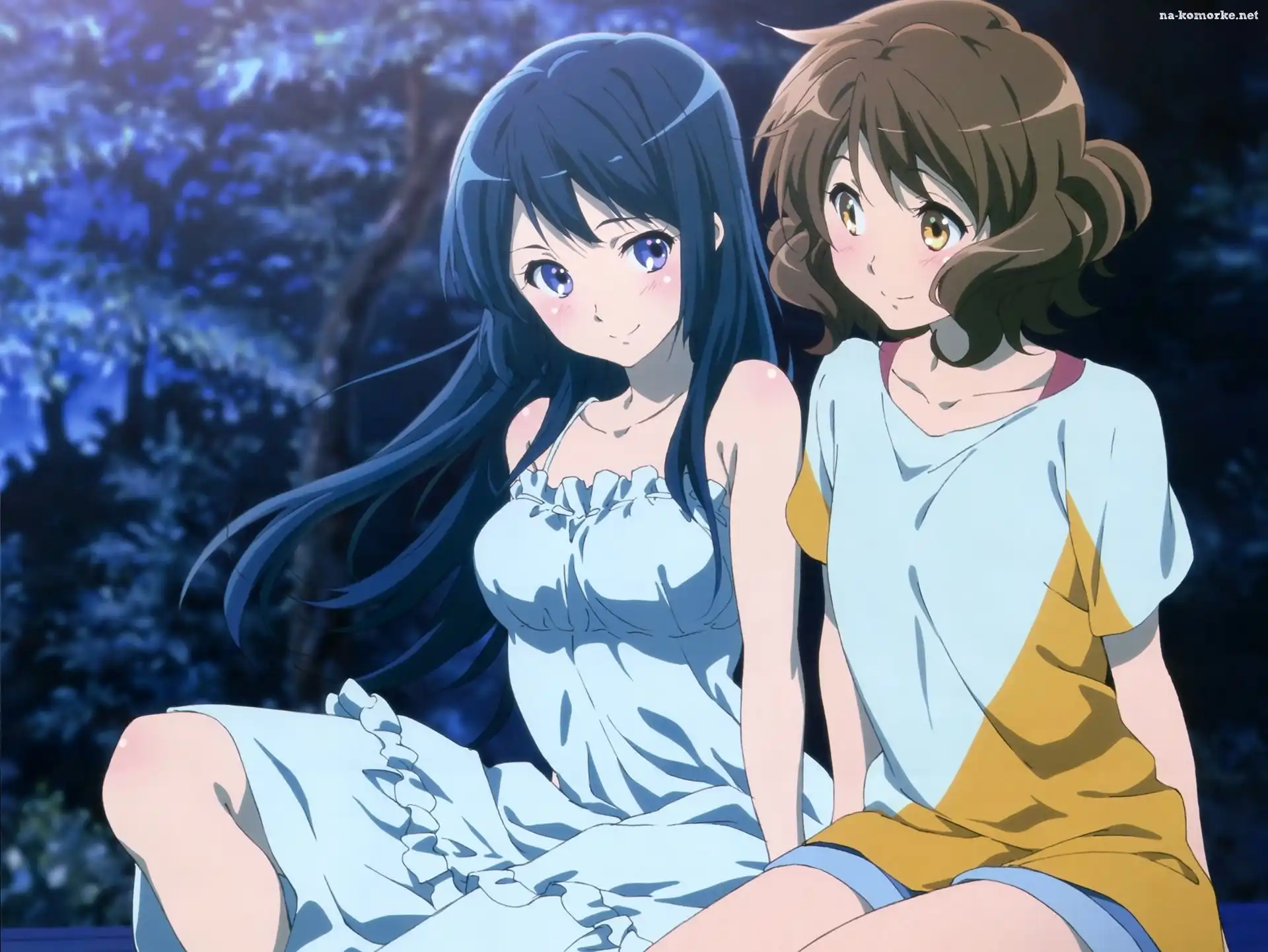 Hibike! Euphonium, Anime, Oumae Kumiko, Kousaka Reina