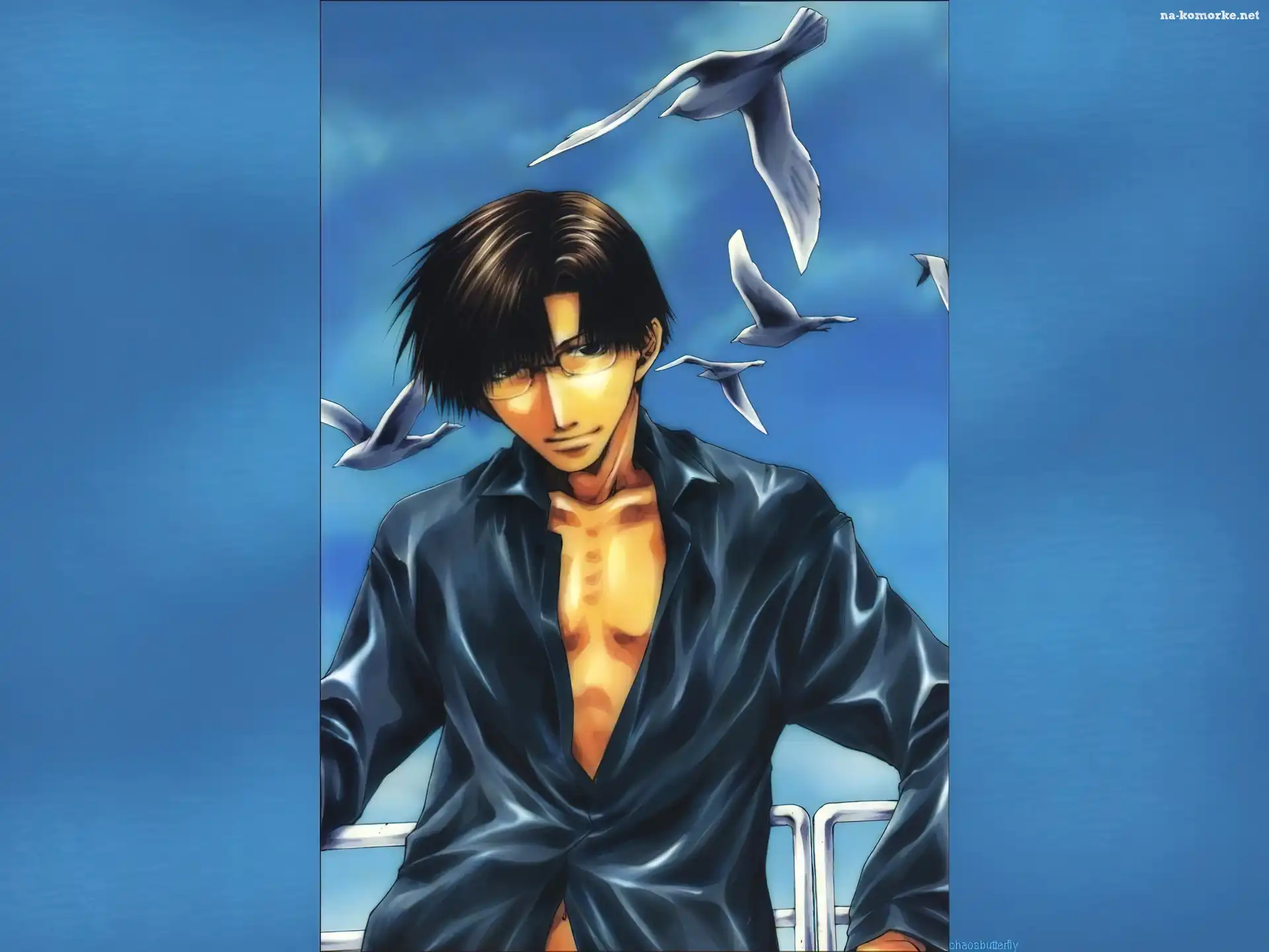 Saiyuki, ptaki, facet