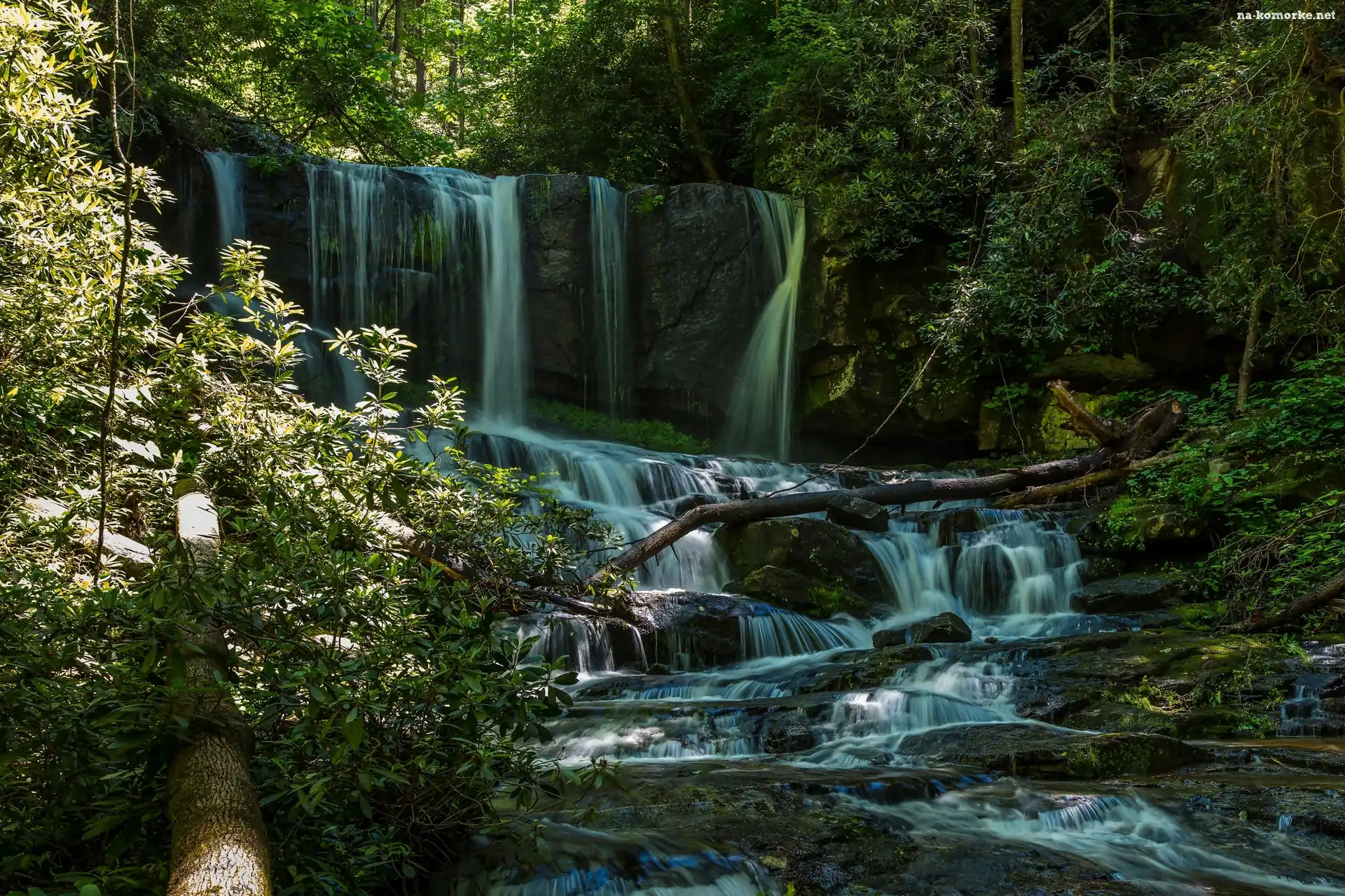 Kamienie, Las, Wodospad Virginia Hawkins Falls, Stany Zjednoczone, Rzeka, Stan Karolina Północna