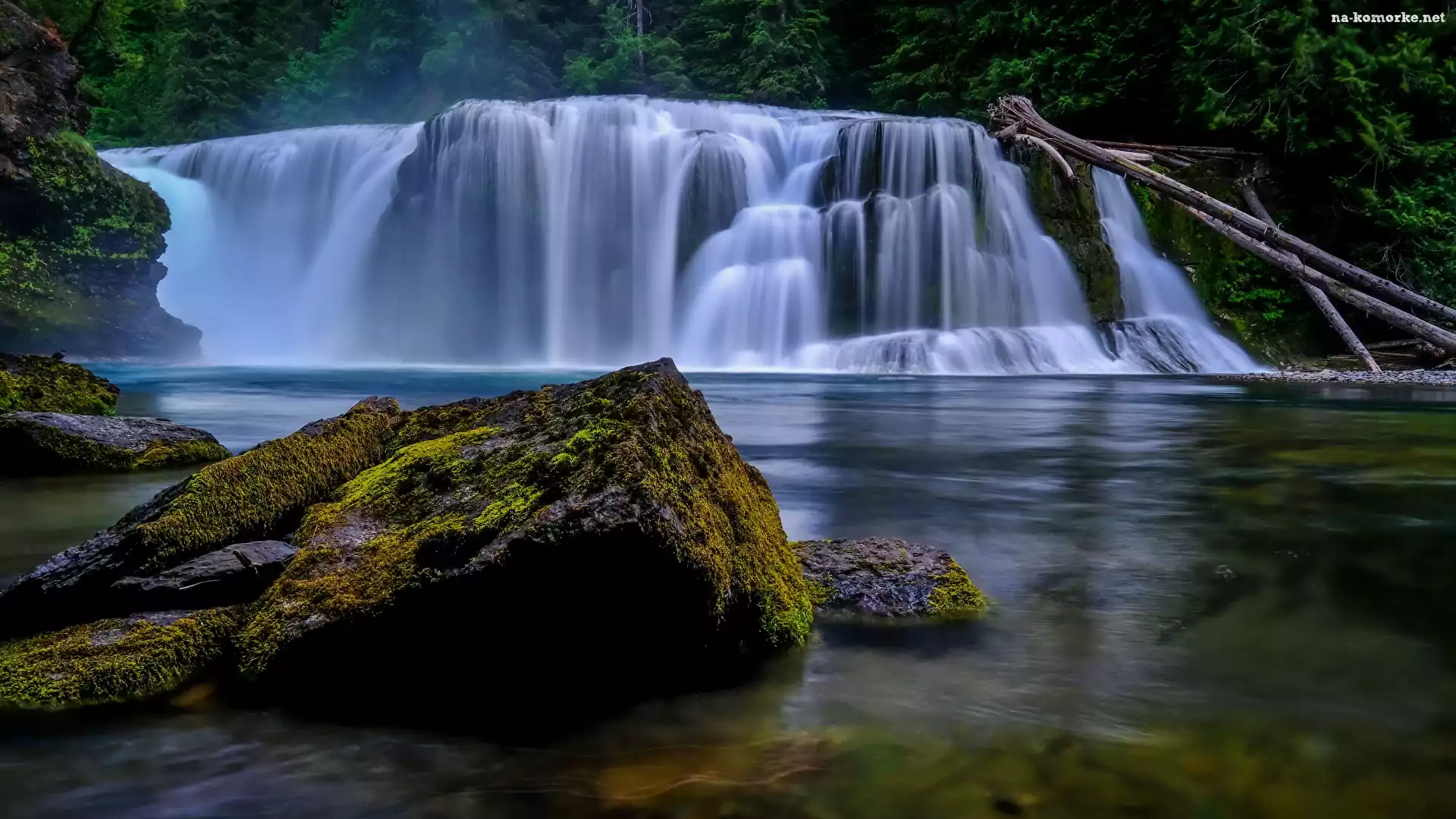 Wodospad Lower Lewis River Falls, Kamienie, Las, Osada Cougar, Stan Waszyngton, Stany Zjednoczone, Omszałe