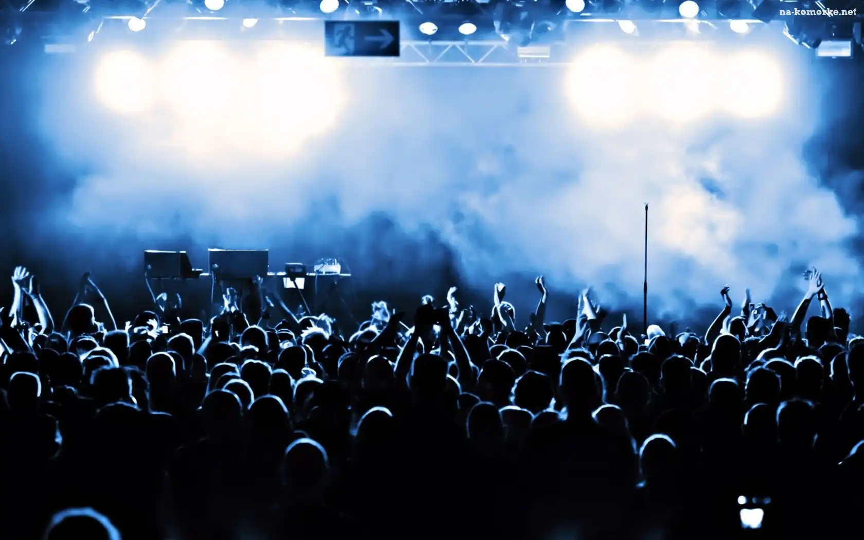 Koncert, Fani, Muzyka