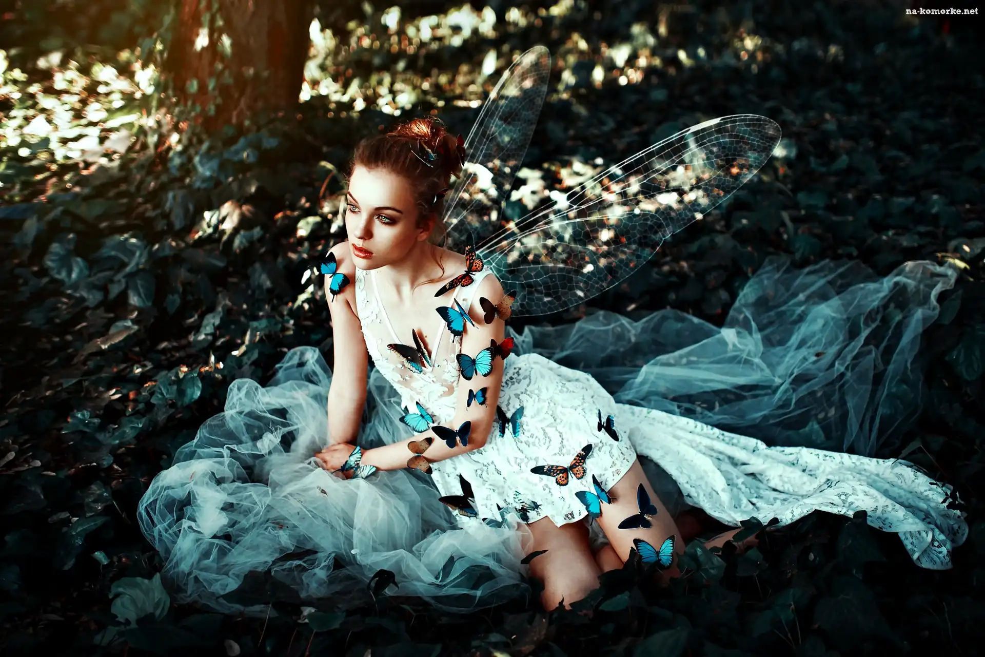 Fantasy, Motyle, Elf, Kobieta
