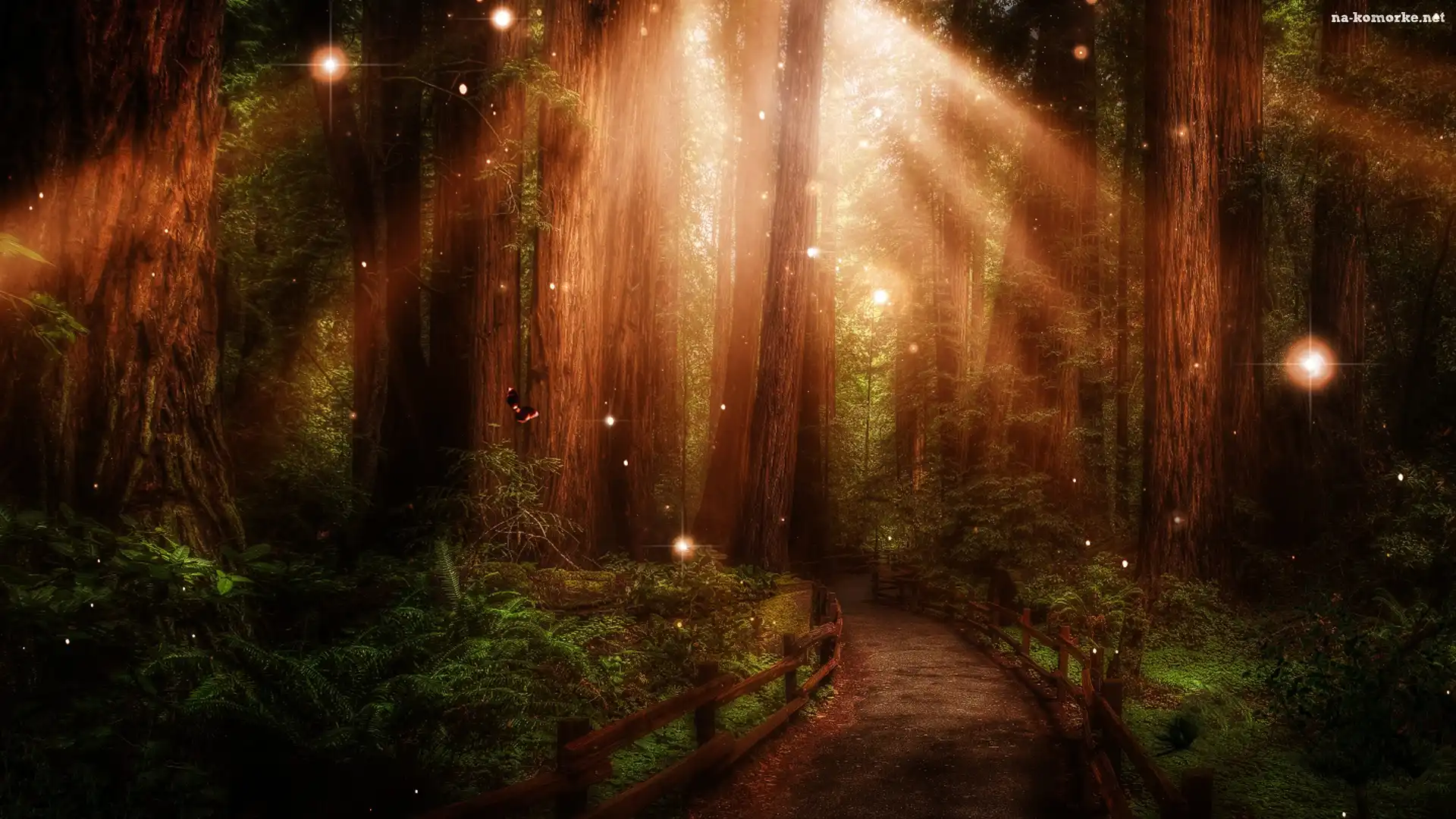 Kraina, Fantasy, Las