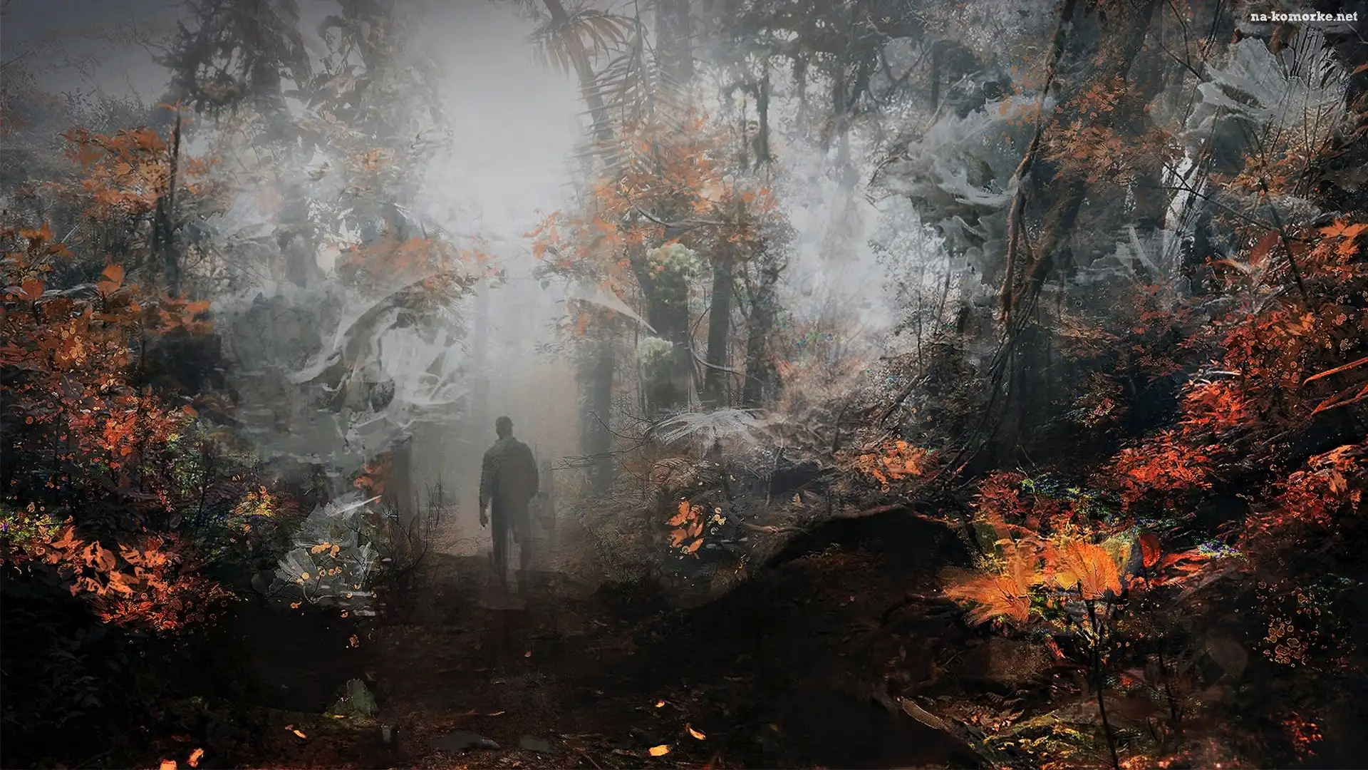 Fantasy, Mgła, Mężczyzna, Las