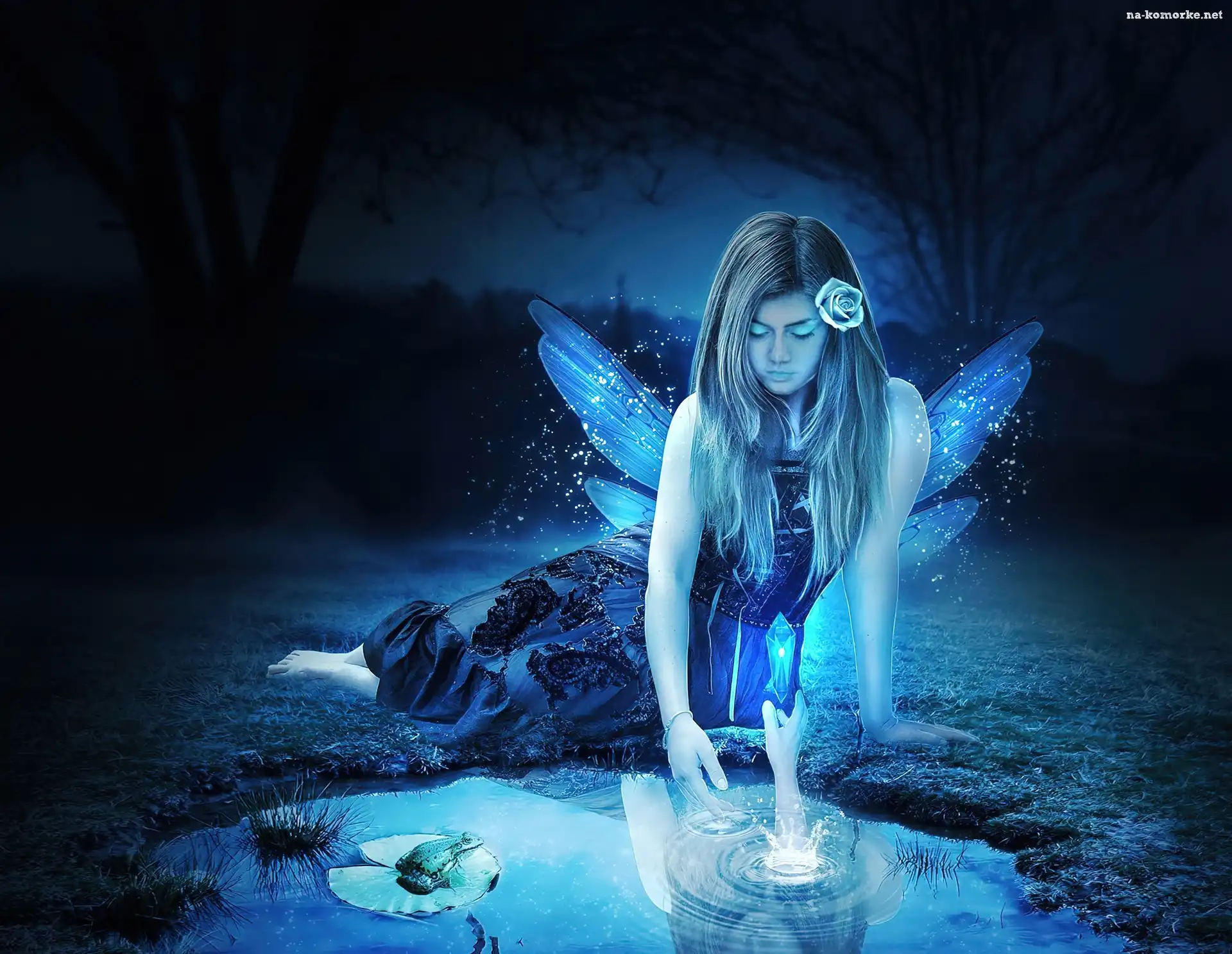 Fantasy, Wróżka