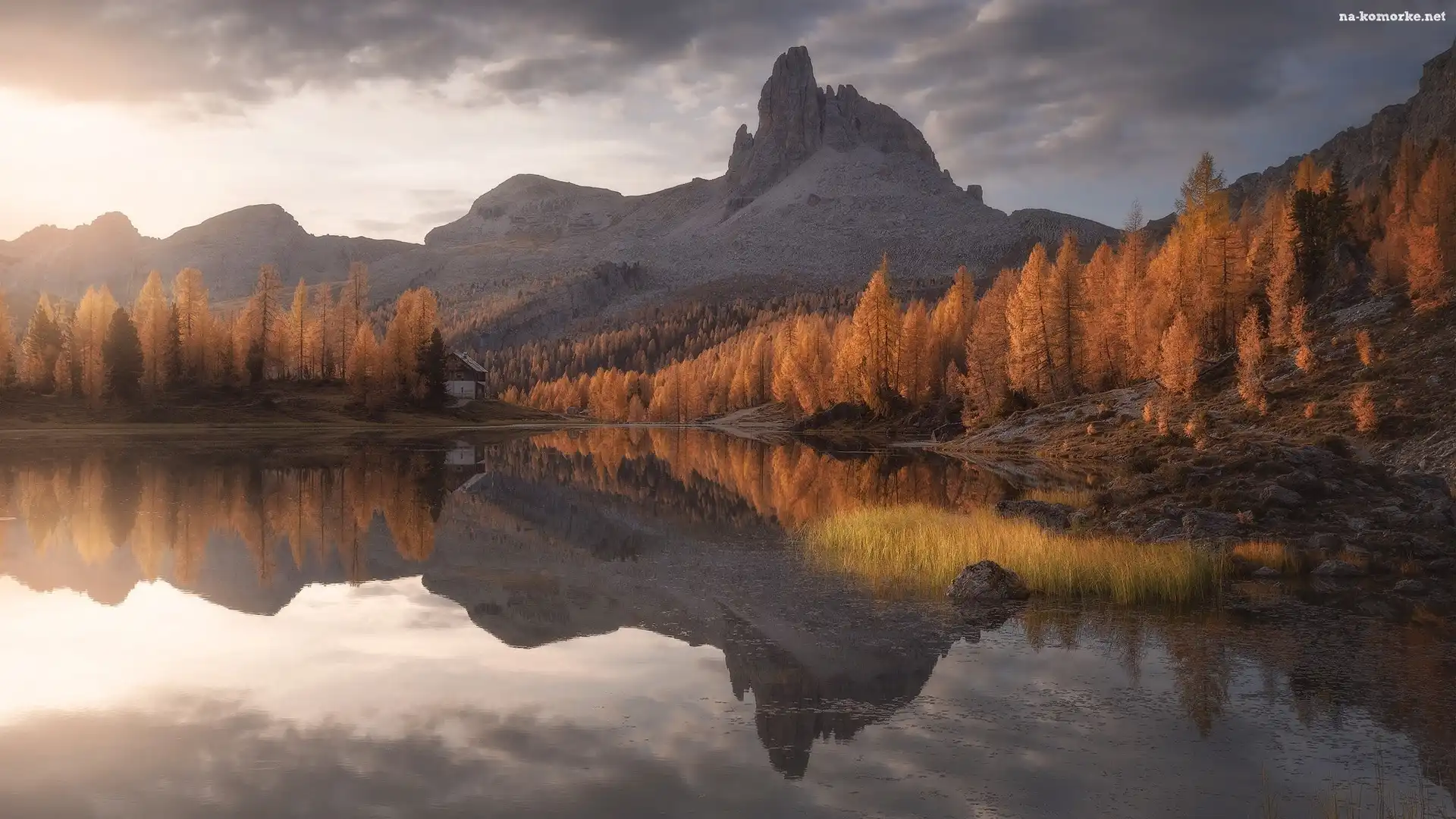 Modrzewie, Drzewa, Prowincja Belluno, Jesień, Góry, Włochy, Jezioro, Lago Federa, Dolomity, Odbicie