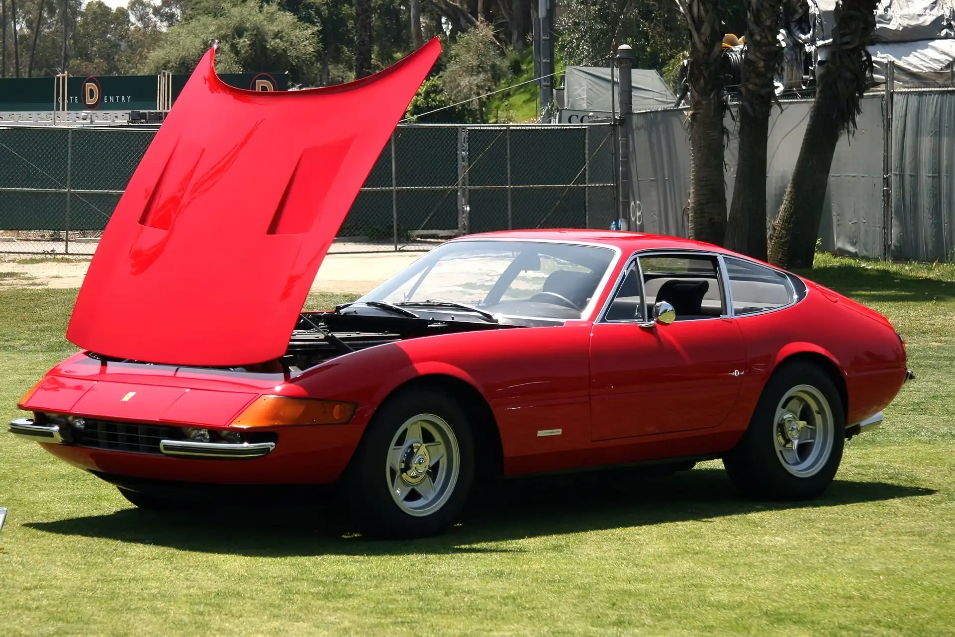 Ferrari Daytona, Maska, Otwarta