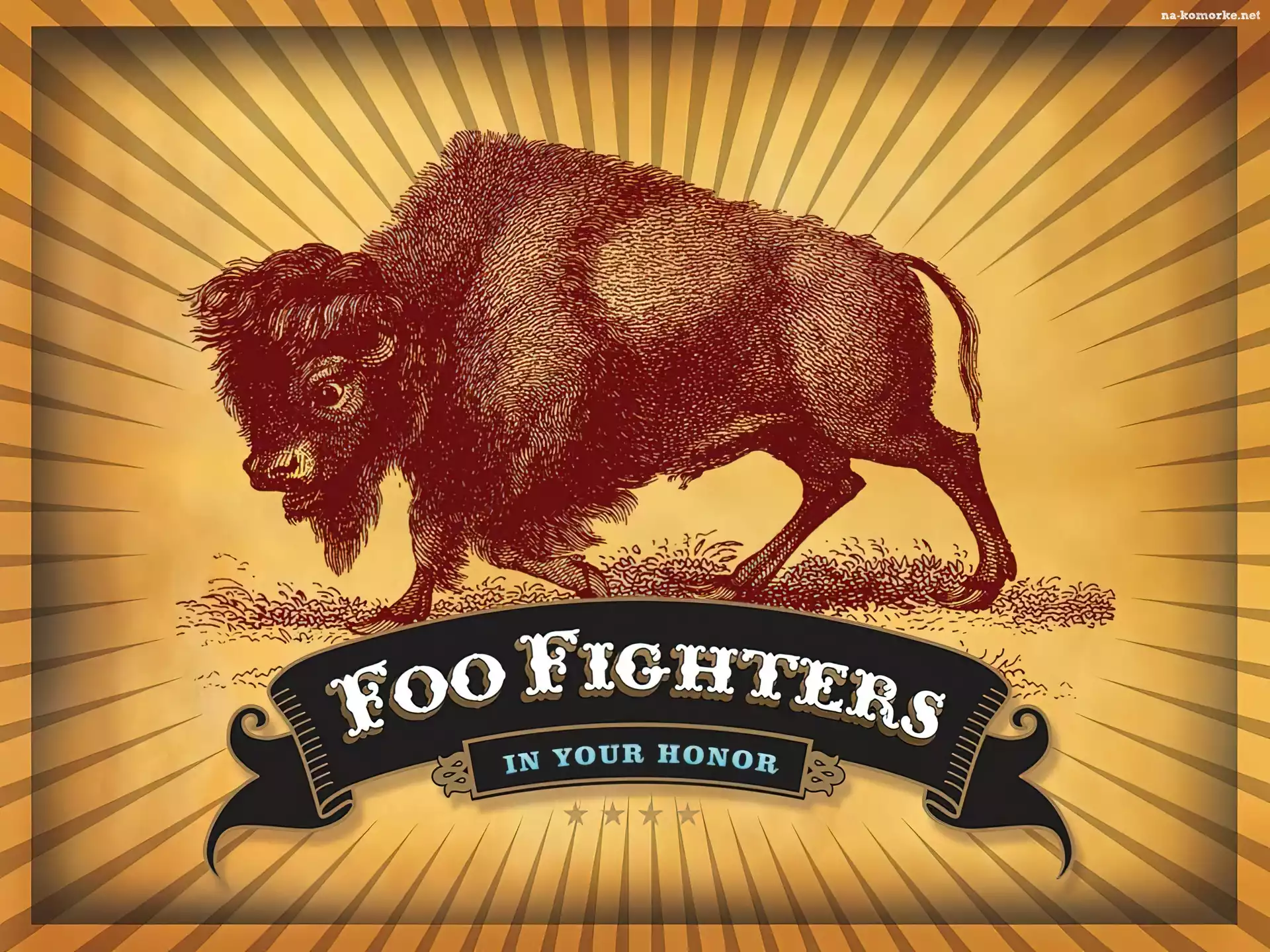 Foo Fighters, baran
