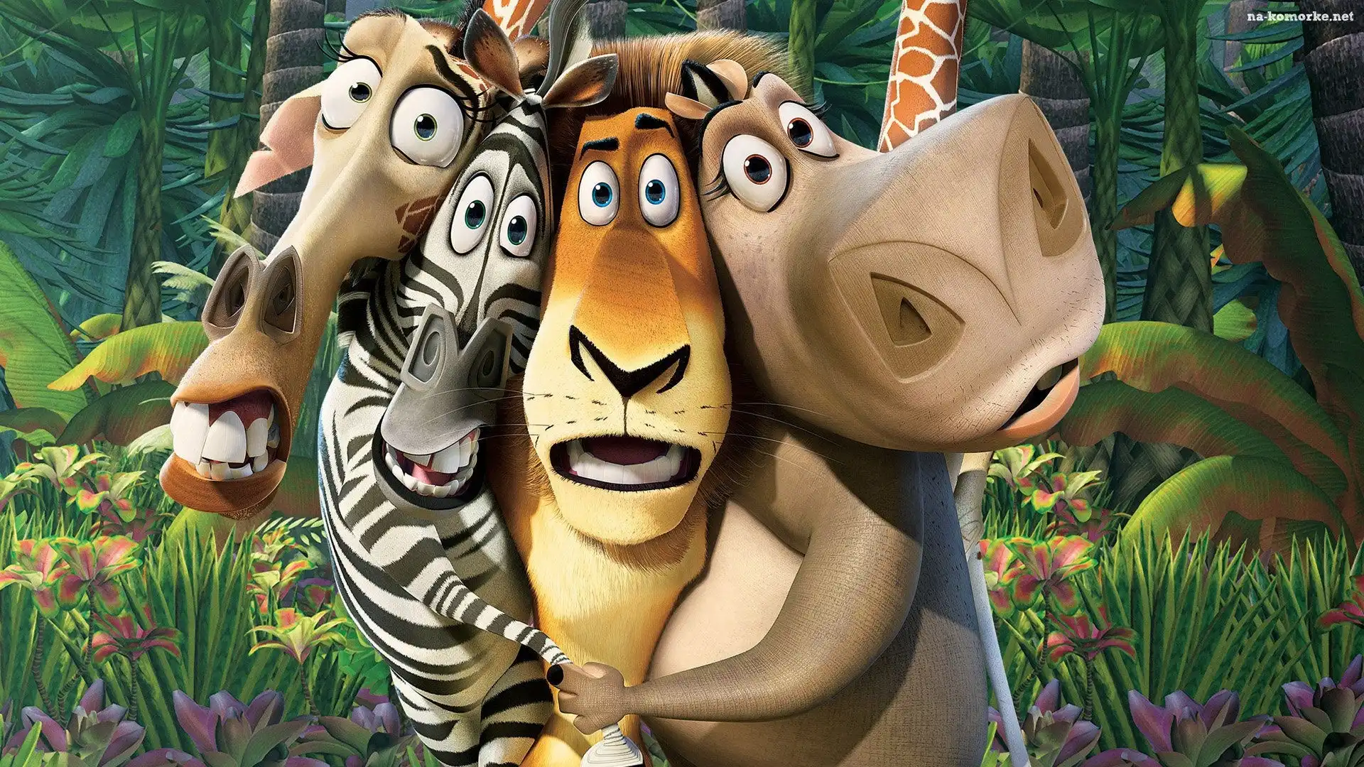 Film, Postacie, Animowany, Madagaskar