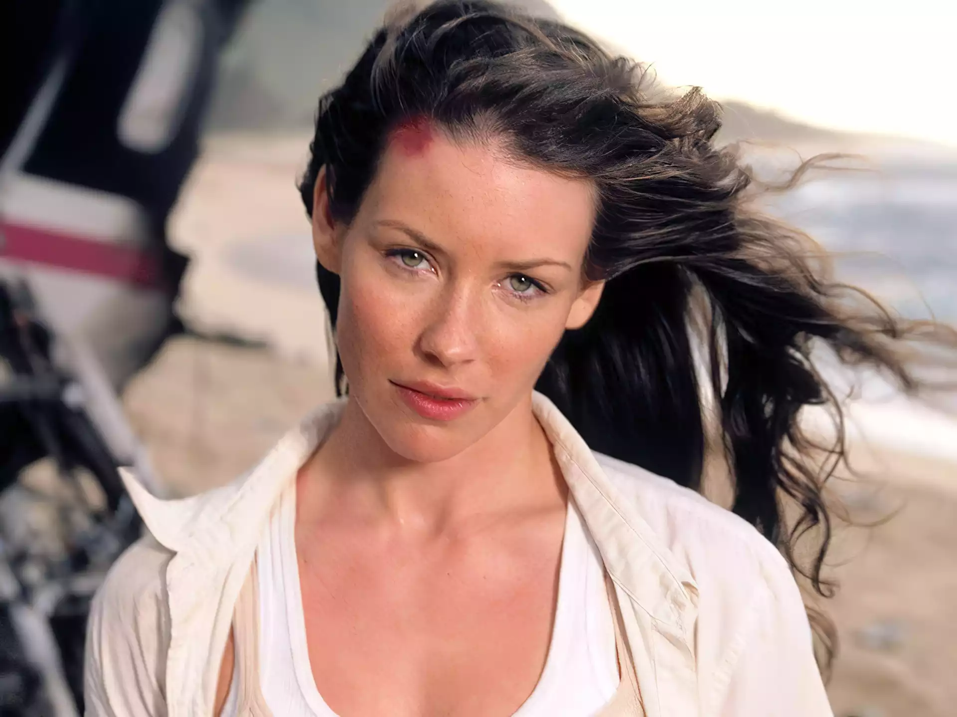 Serial, Evangeline Lilly, Zagubieni, Lost