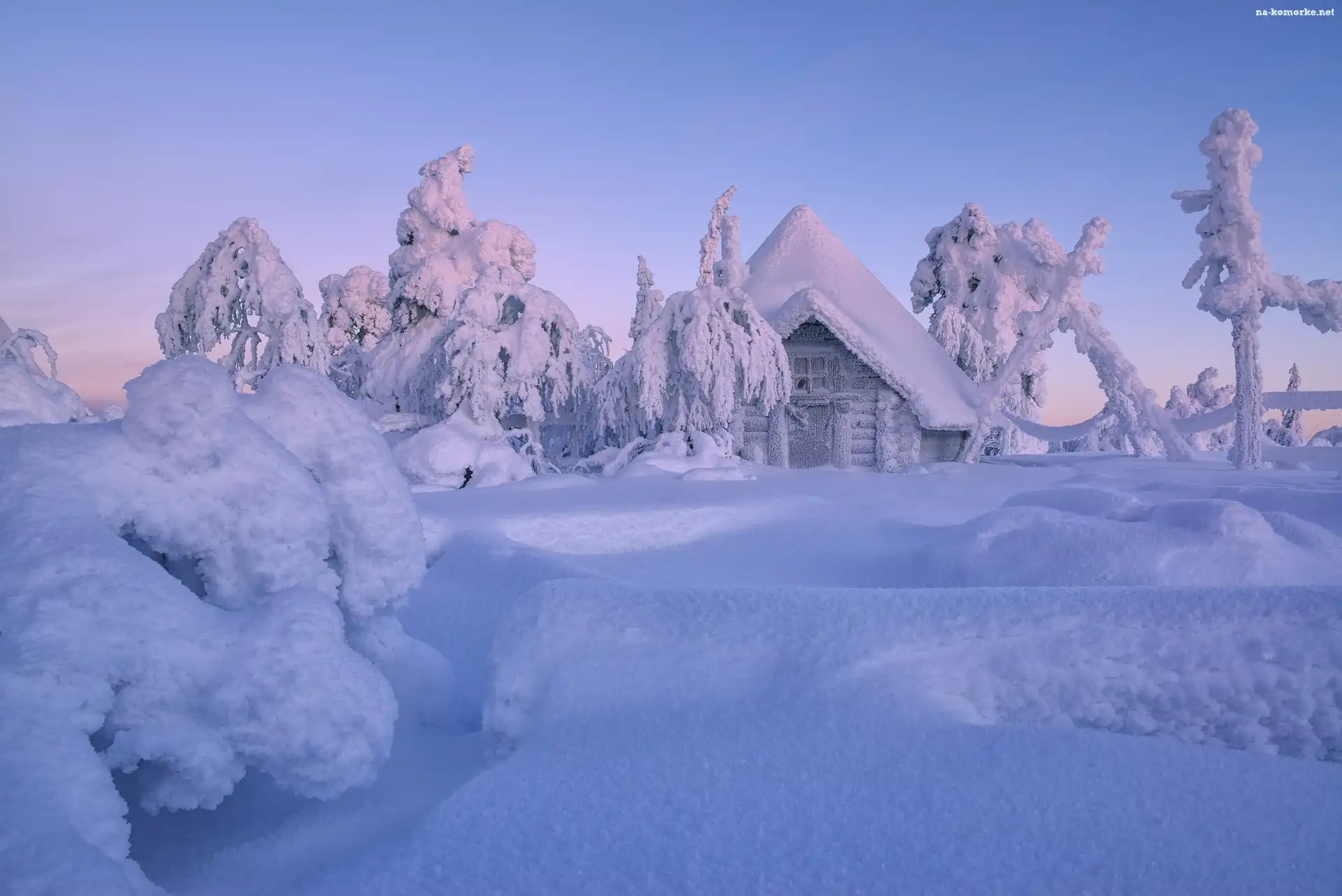 Finlandia, Zima, Drzewa, Dom, Laponia