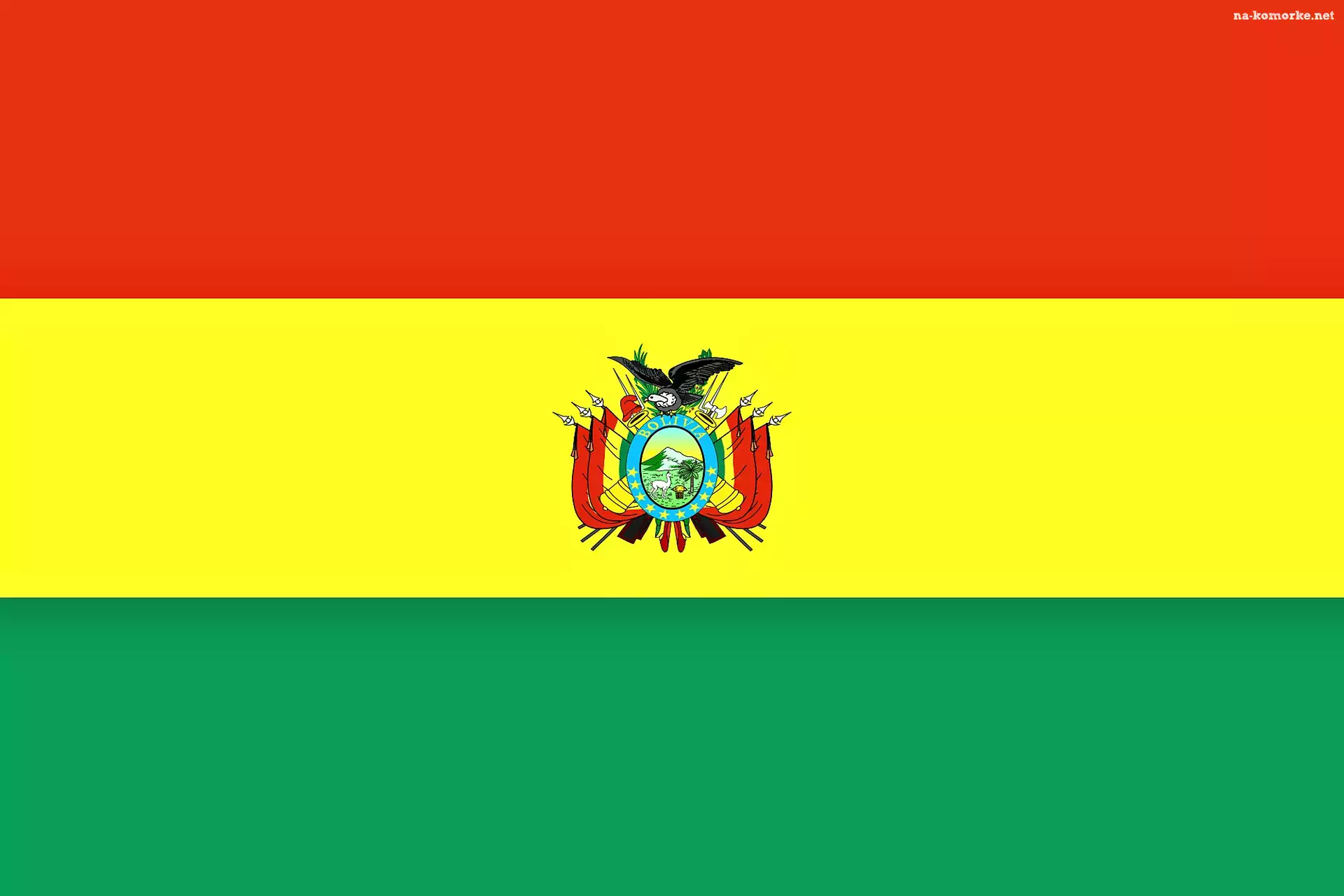 Flaga, Boliwia