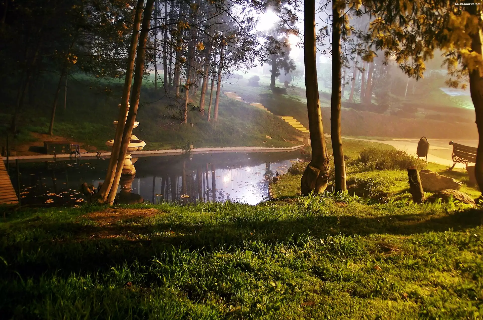 Światło, Park, Staw, Fontanna, Przebijające