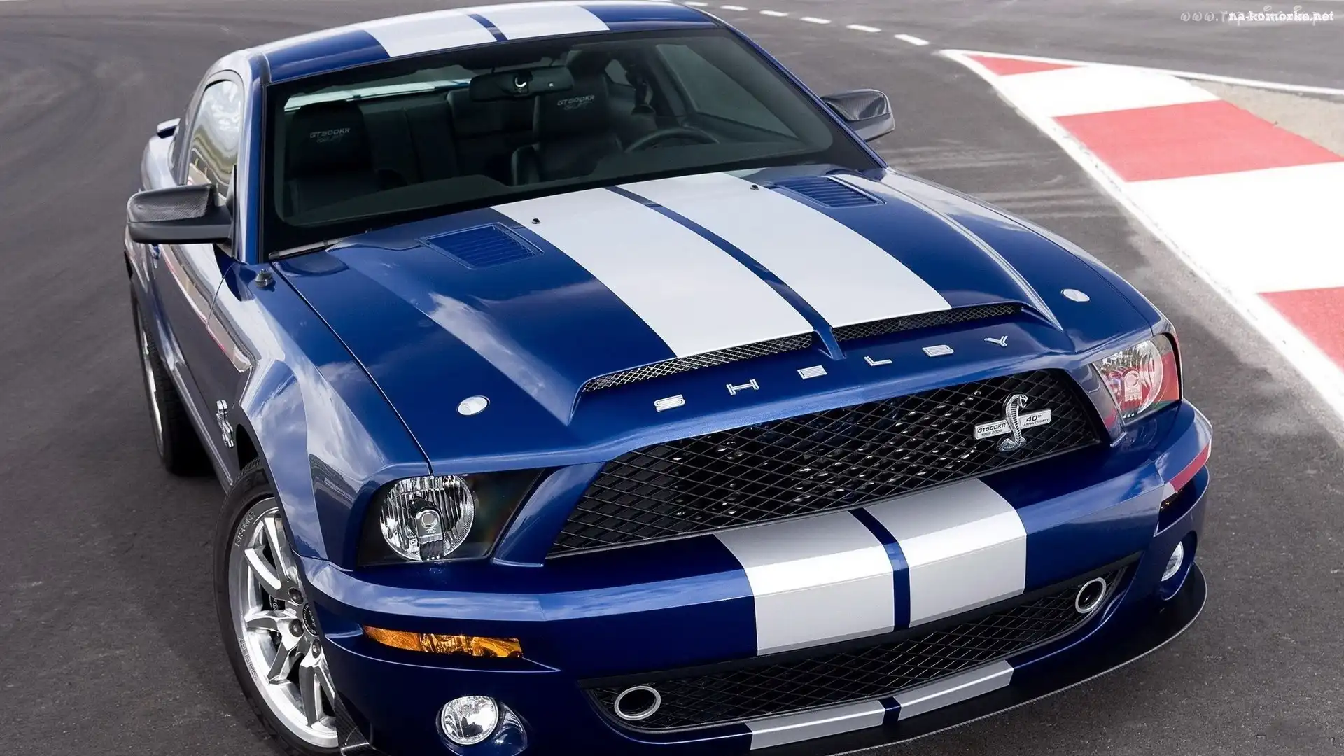 Ford Mustang, Pasy, Shelby, Białe