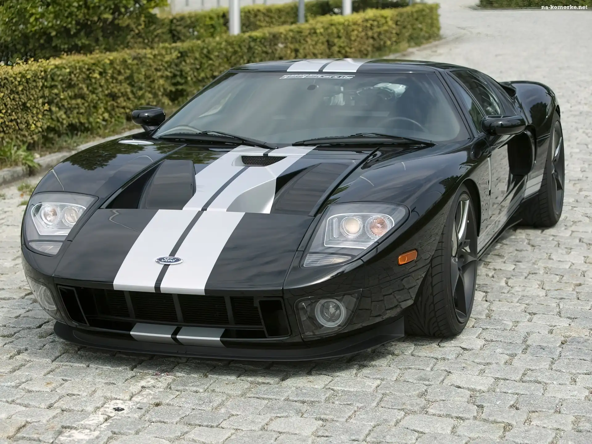 Ford GT, Nadwozia, Sportowa, Linia