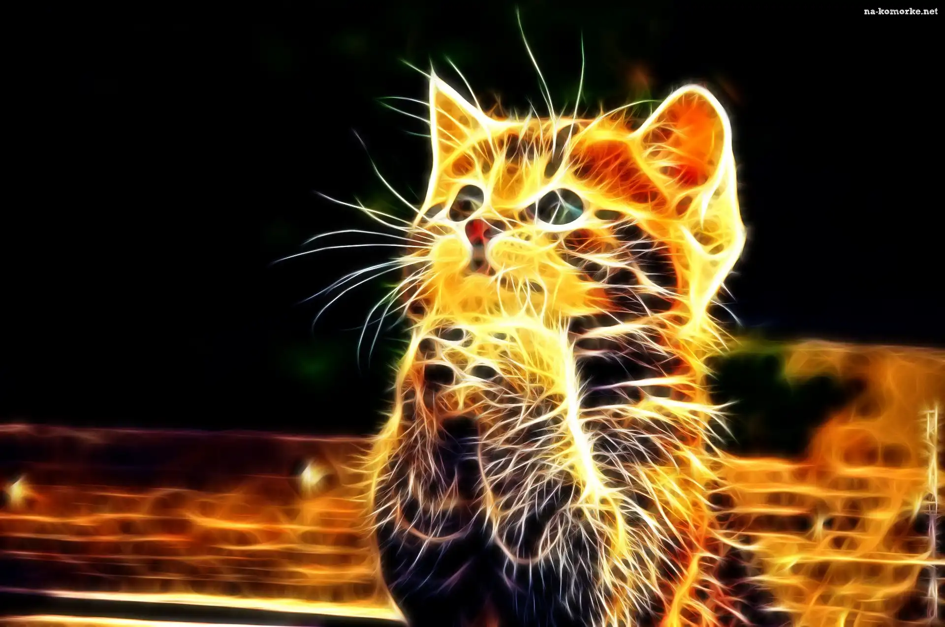 Fractalius, Kot