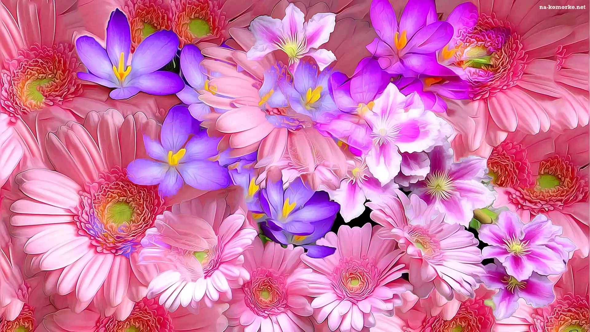 Fractalius, Kwiaty, Różowe, Niebieskie