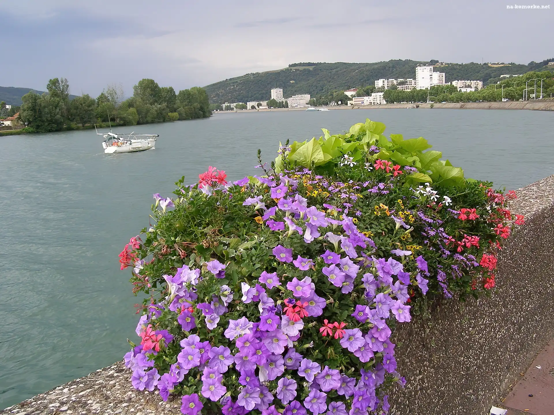 Francja, Rzeka, Vienne, Kwiaty, Panorama