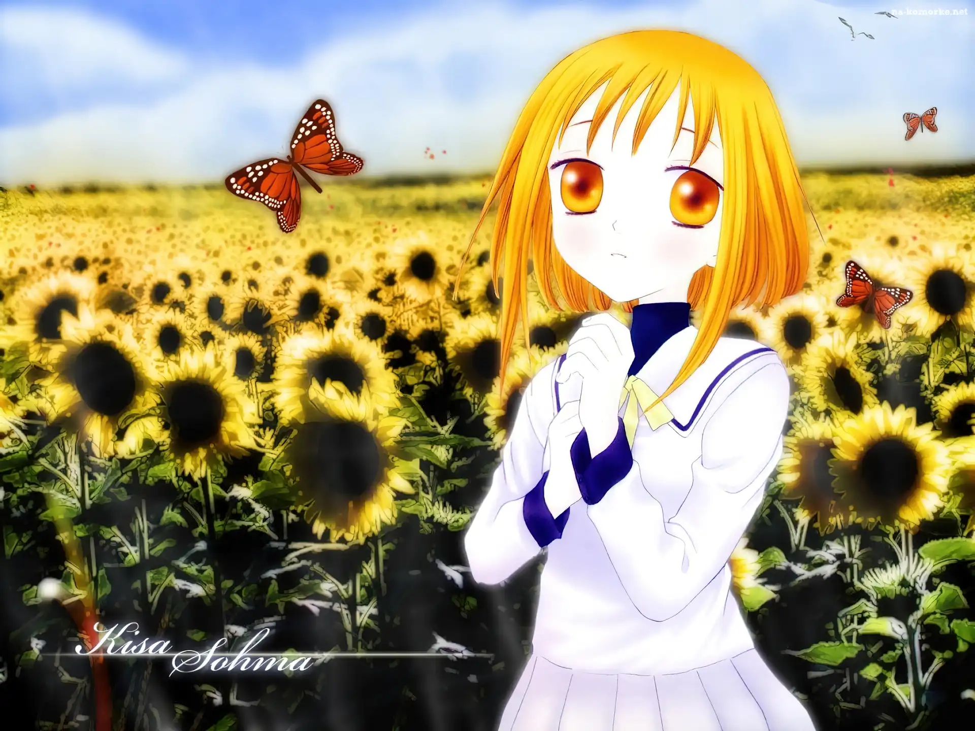 Fruits Basket, motyle, dziewczyna, polana