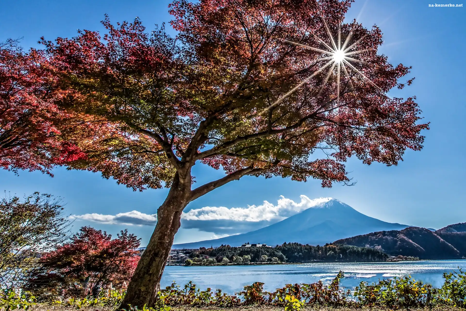 Jesień, Fuji, Drzewa, Japonia, Jezioro, Promienie, Słońca, Góra