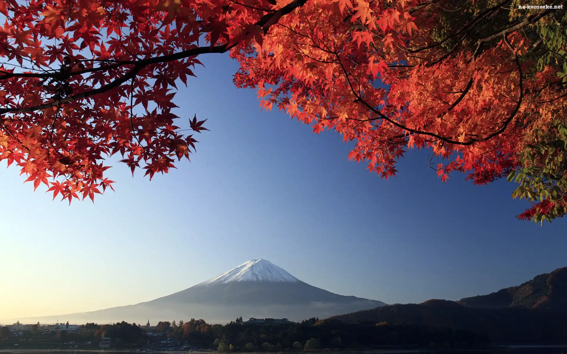 Fuji, Góra, Japonia, Liście, Mount, Czerwone
