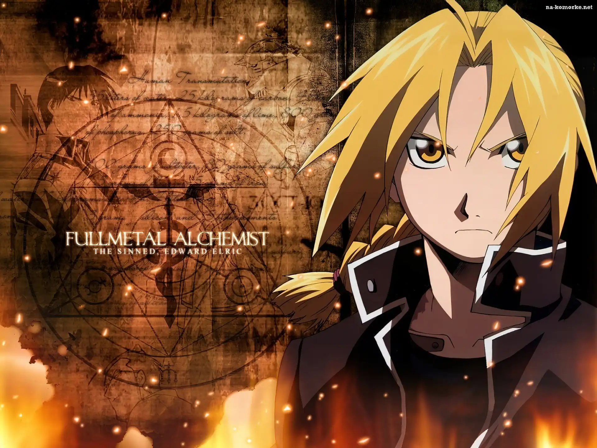 Full Metal Alchemist, fecet, znak