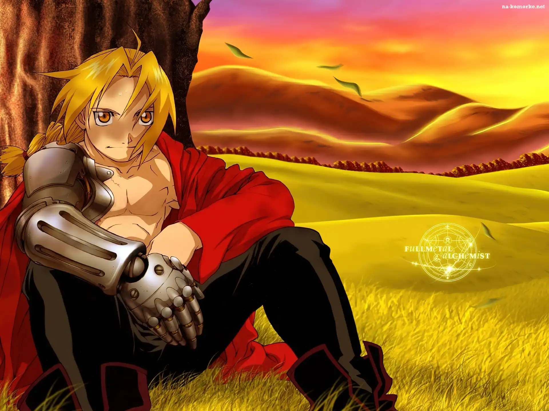 drzewo, Full Metal Alchemist, ptaki, polana, postać, ręka