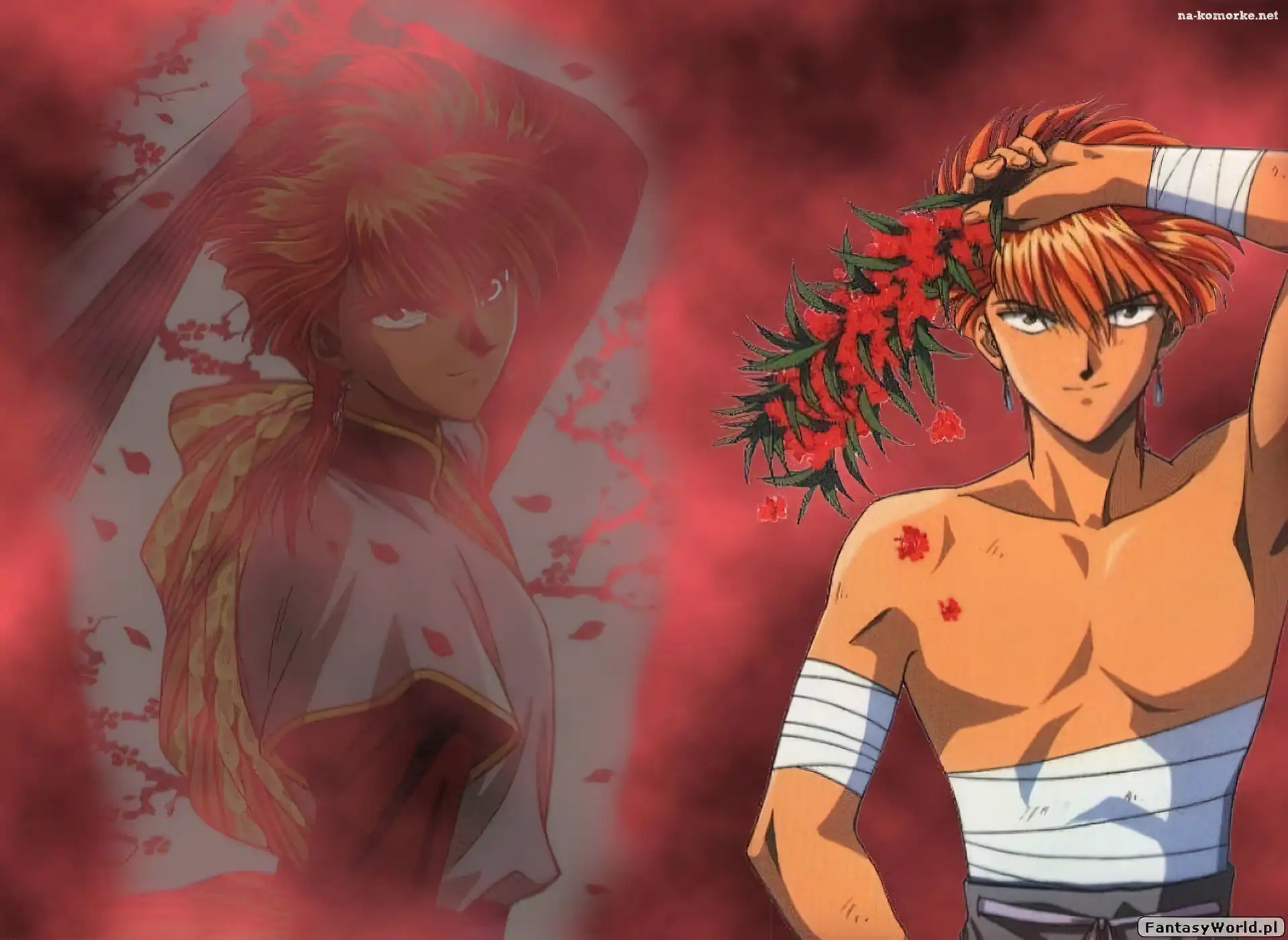 Fushigi Yuugi, bandaż, facet, kwiatki