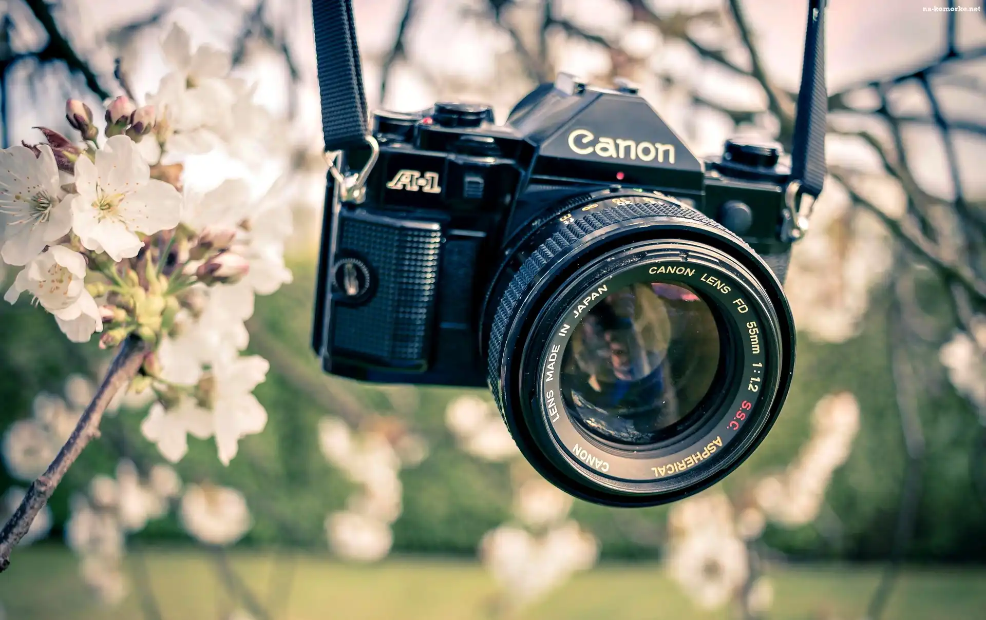 Gałązki, Aparat, Fotograficzny, Canon, Kwitnące