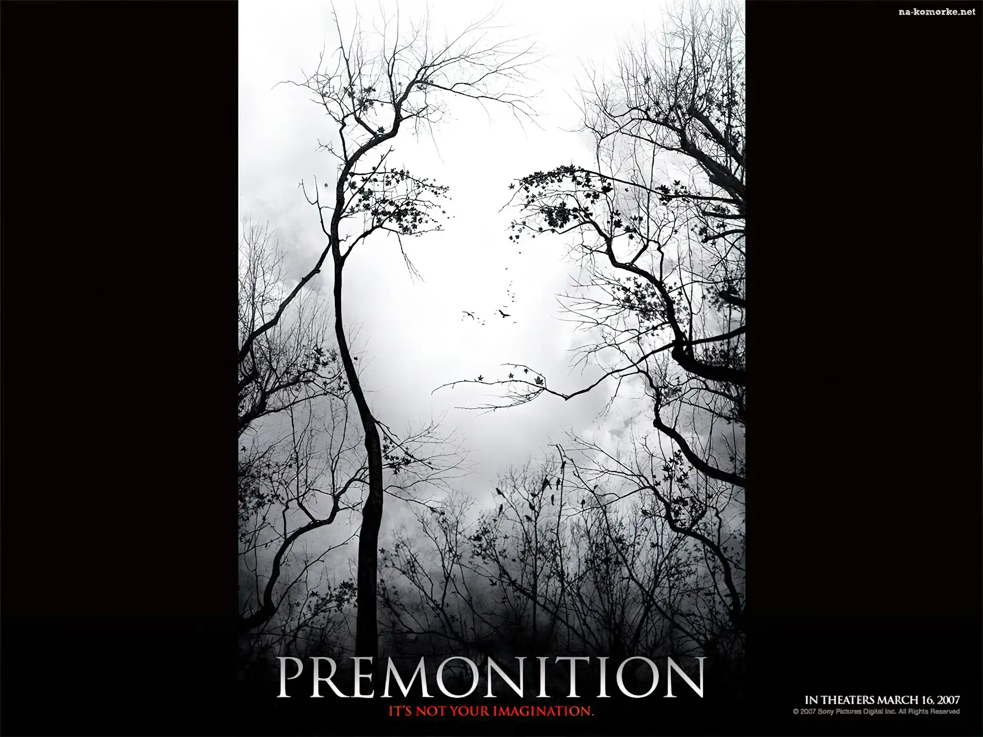 Premonition, gałęzie, twarz