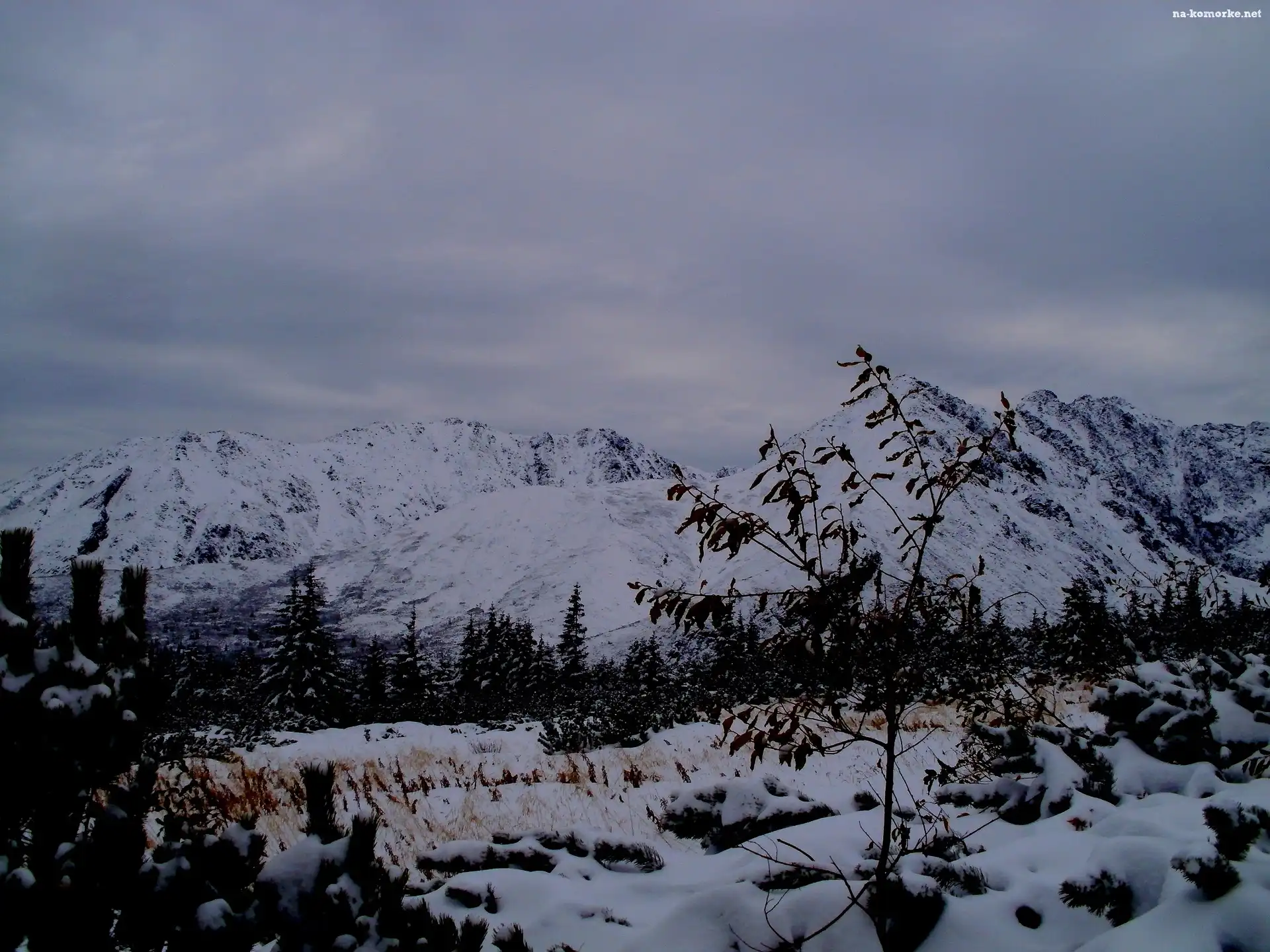 Gąsienicowa, Góry, Zimą, Tatry, Hala