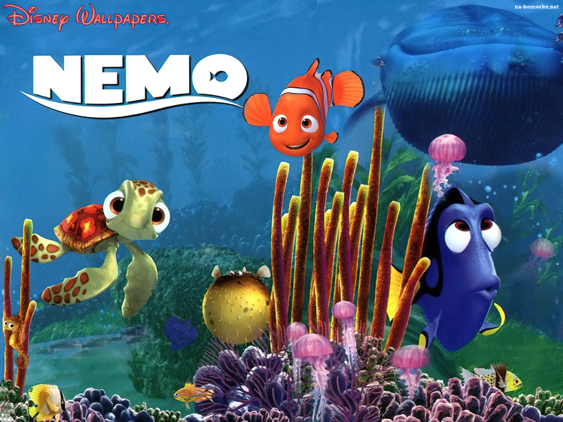 Gdzie jest Nemo, Bohaterowie, Finding Nemo