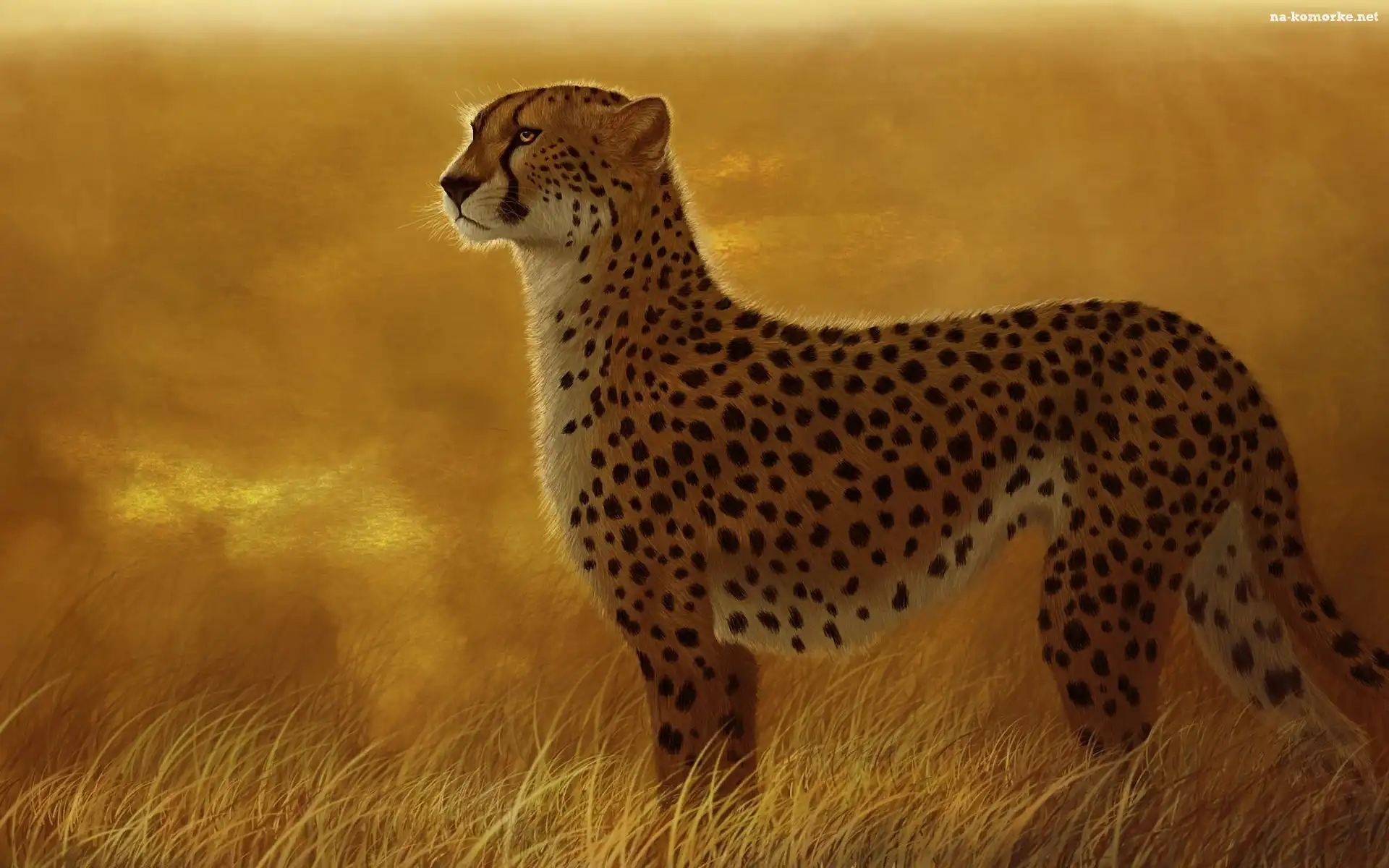 Gepard, Trawa