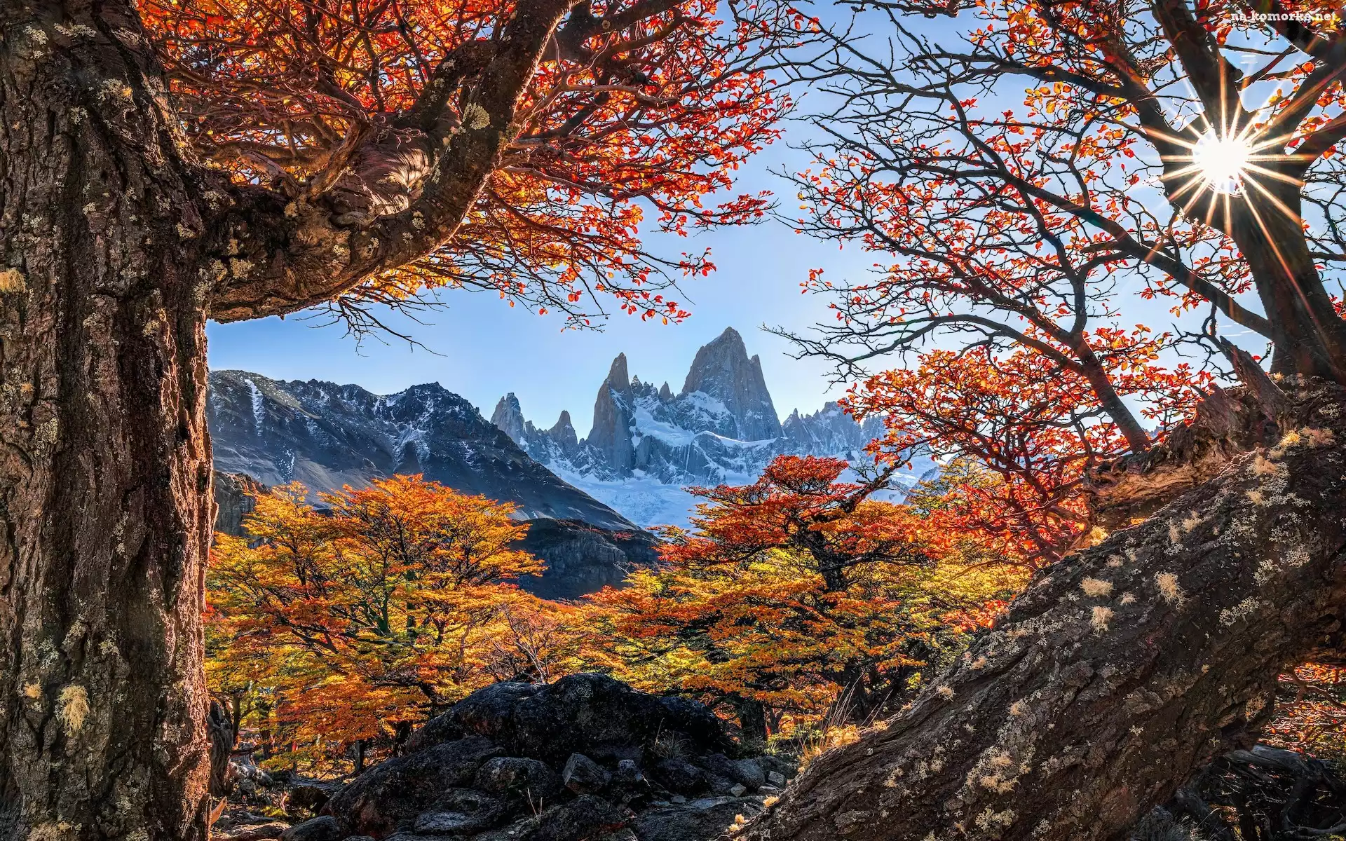Park Narodowy Los Glaciares, Jesień, Fitz Roy, Argentyna, Drzewa, Promienie słońca, Góry, Patagonia