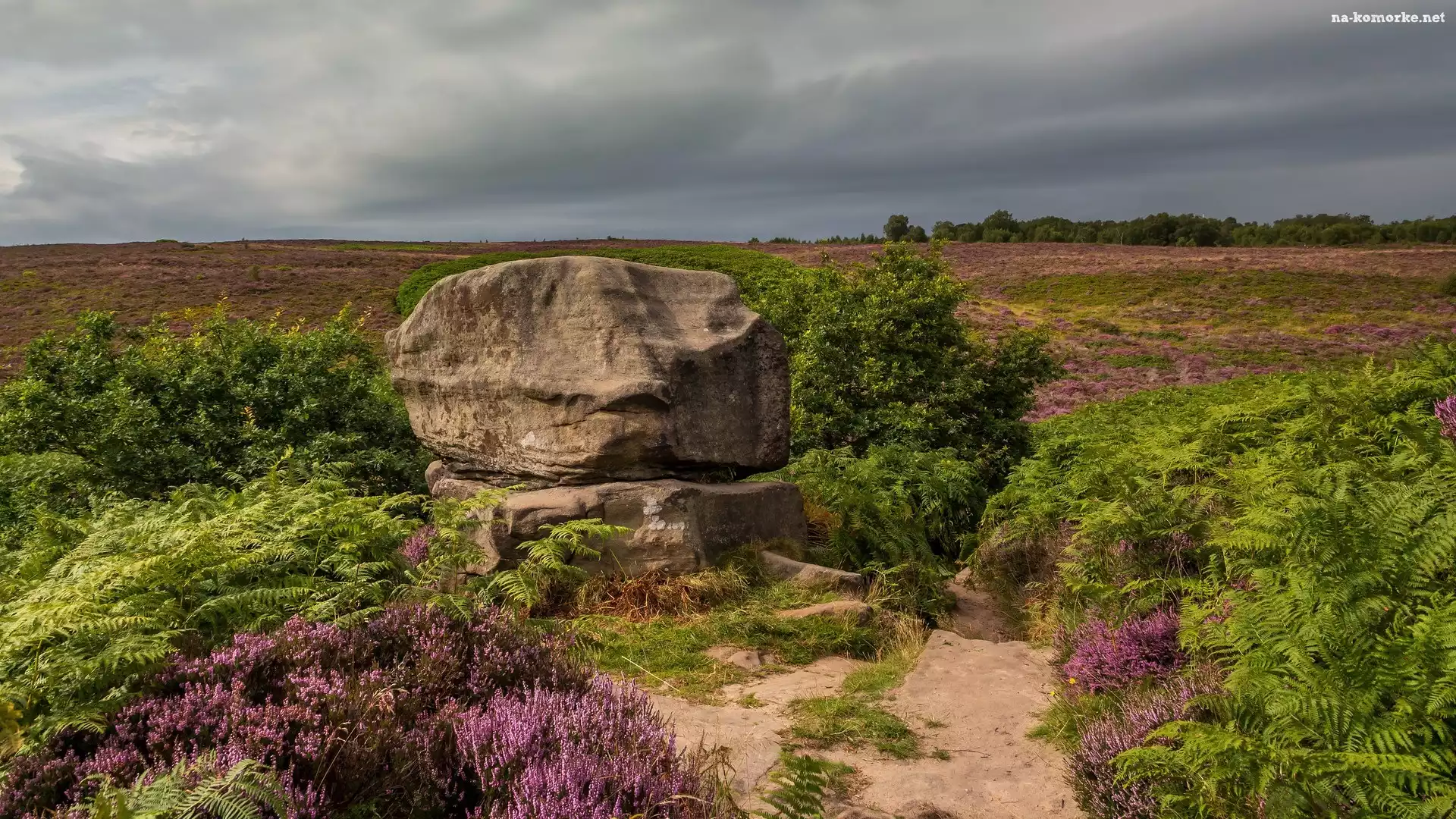 Głaz, Anglia, Skała, Wrzosowisko, Park Narodowy Peak District, Hrabstwo Derbyshire