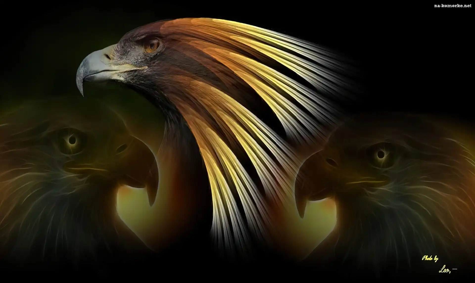 Orły, Głowa, Fractalius