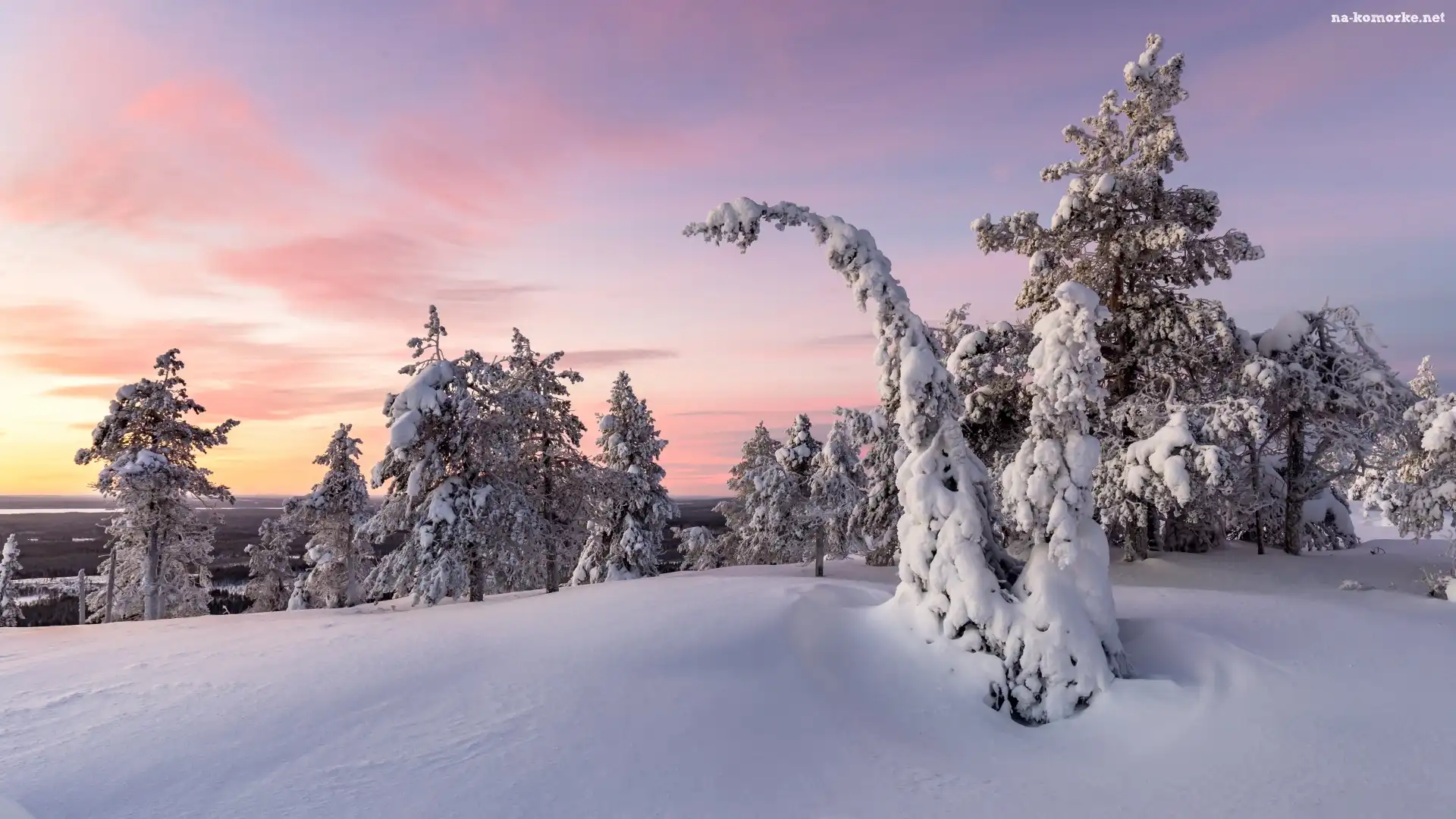 Gmina Posio, Finlandia, Zima, Park Narodowy Riisitunturi, Drzewa, Laponia, Ośnieżone, Wschód słońca, Wzgórze