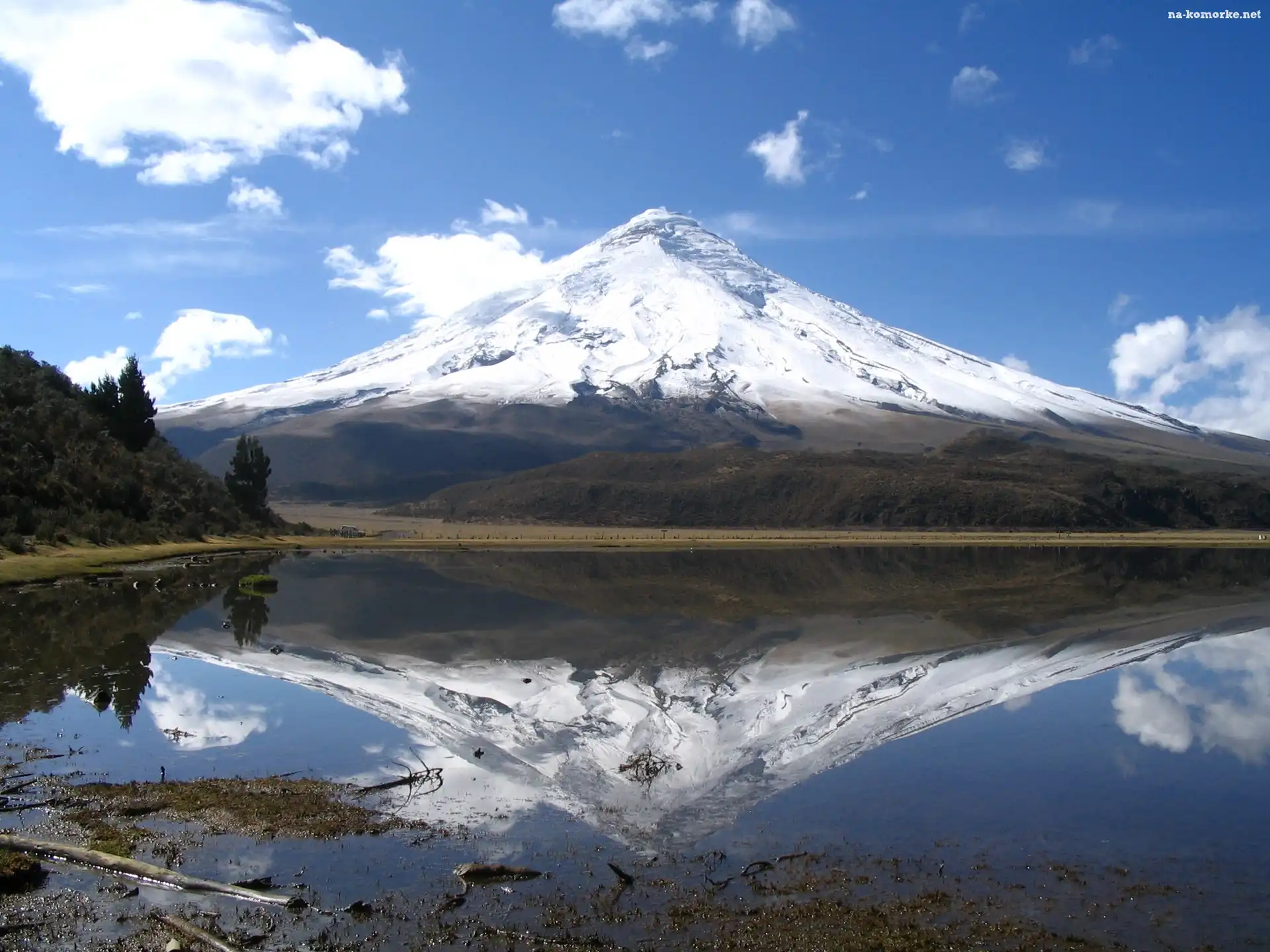 Góra