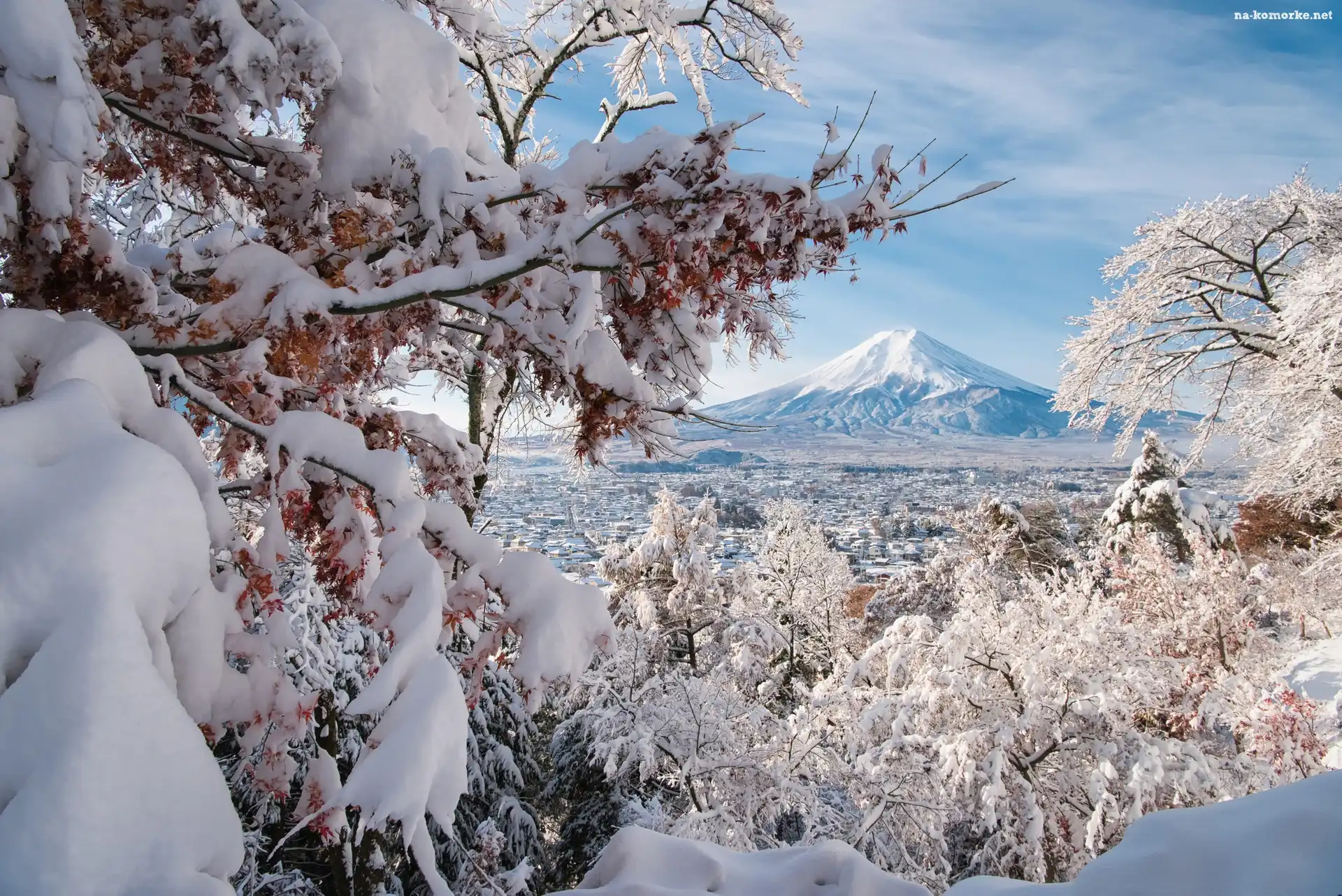 Góra, Drzewa, Zima, Japonia, Dolina, Fuji