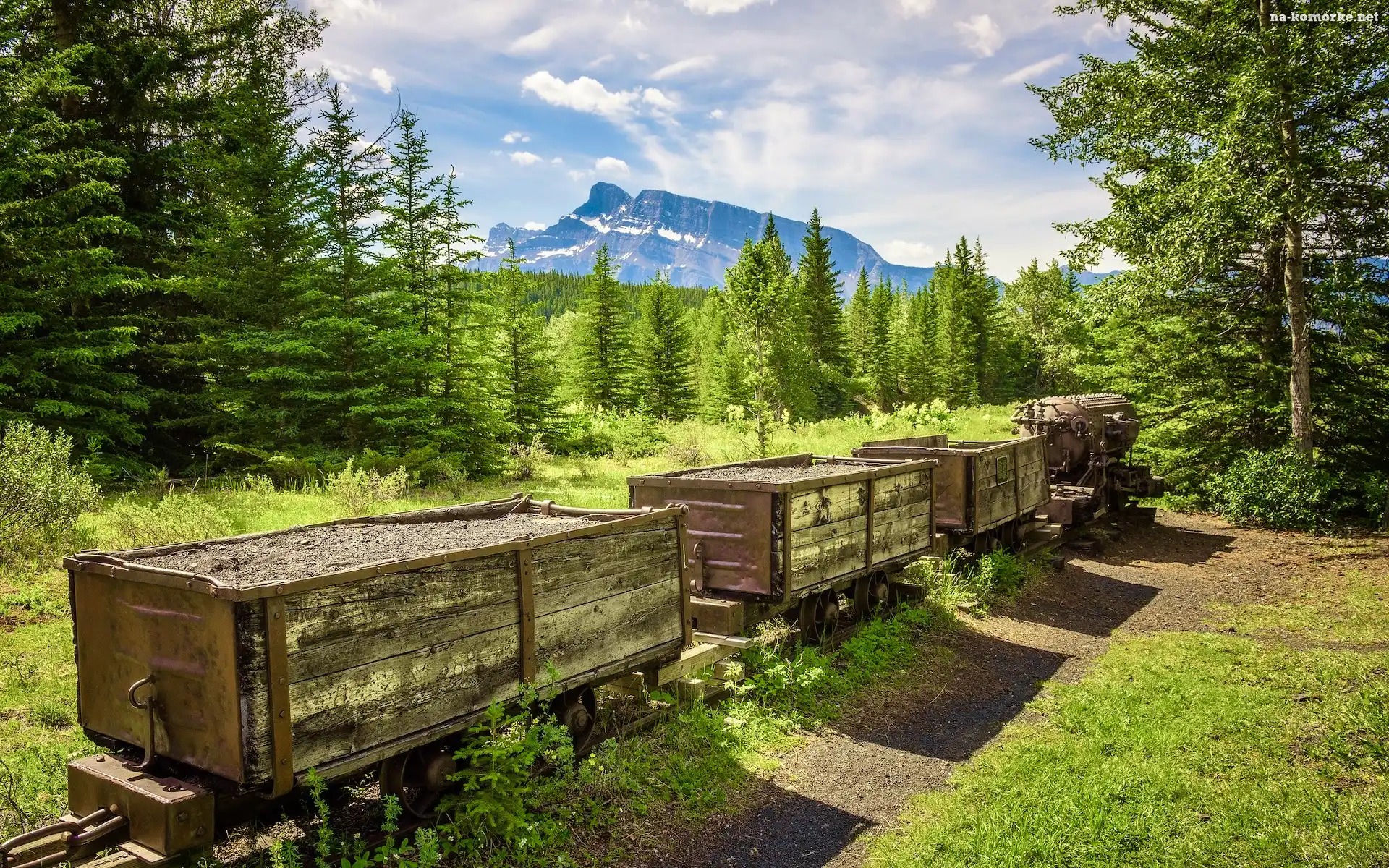 Góra, Mount Rundle, Kanada, Park Narodowy Banff, Lasy, Drzewa, Alberta
