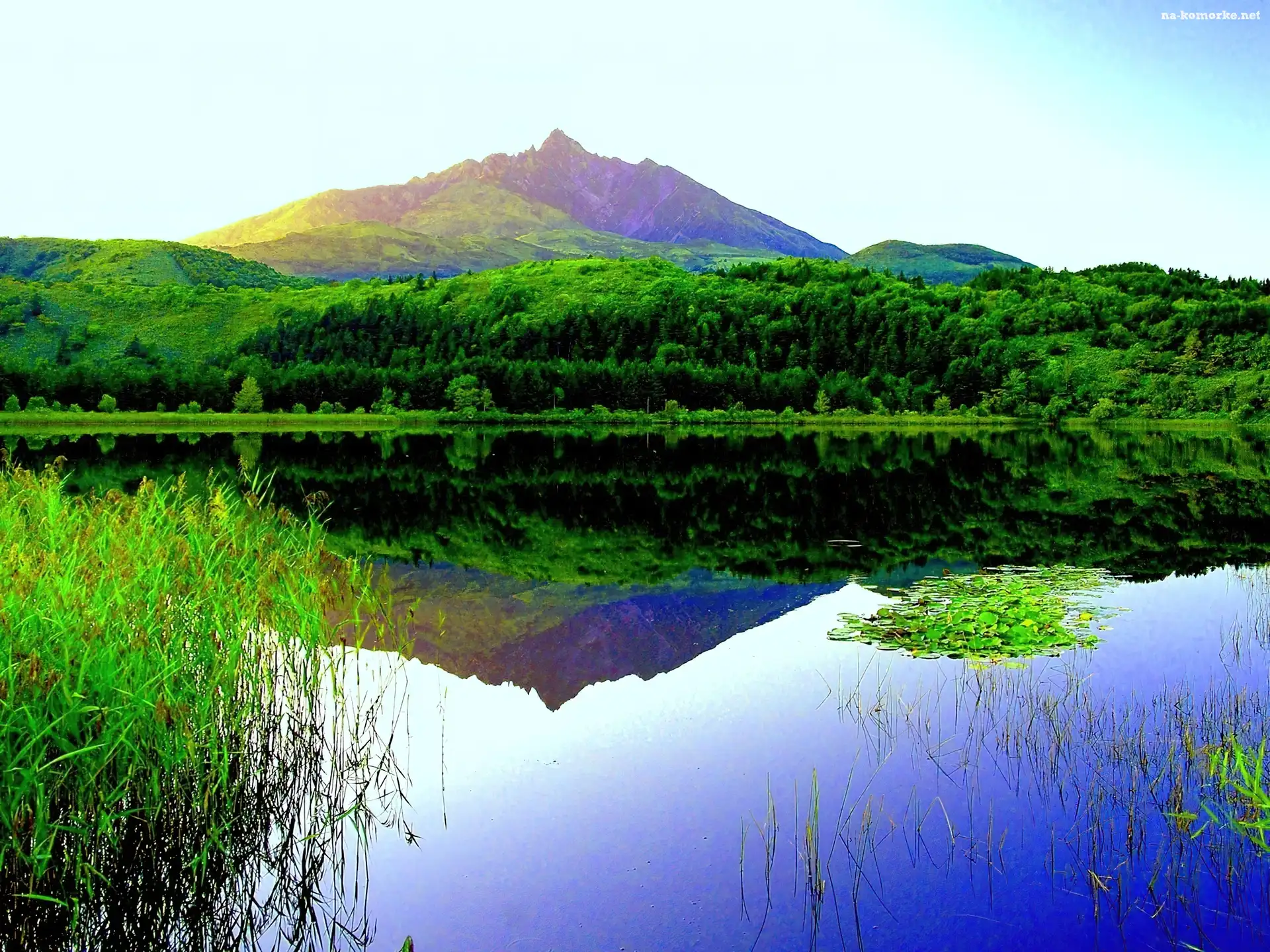 Góra, Odbicie, Las, Jezioro