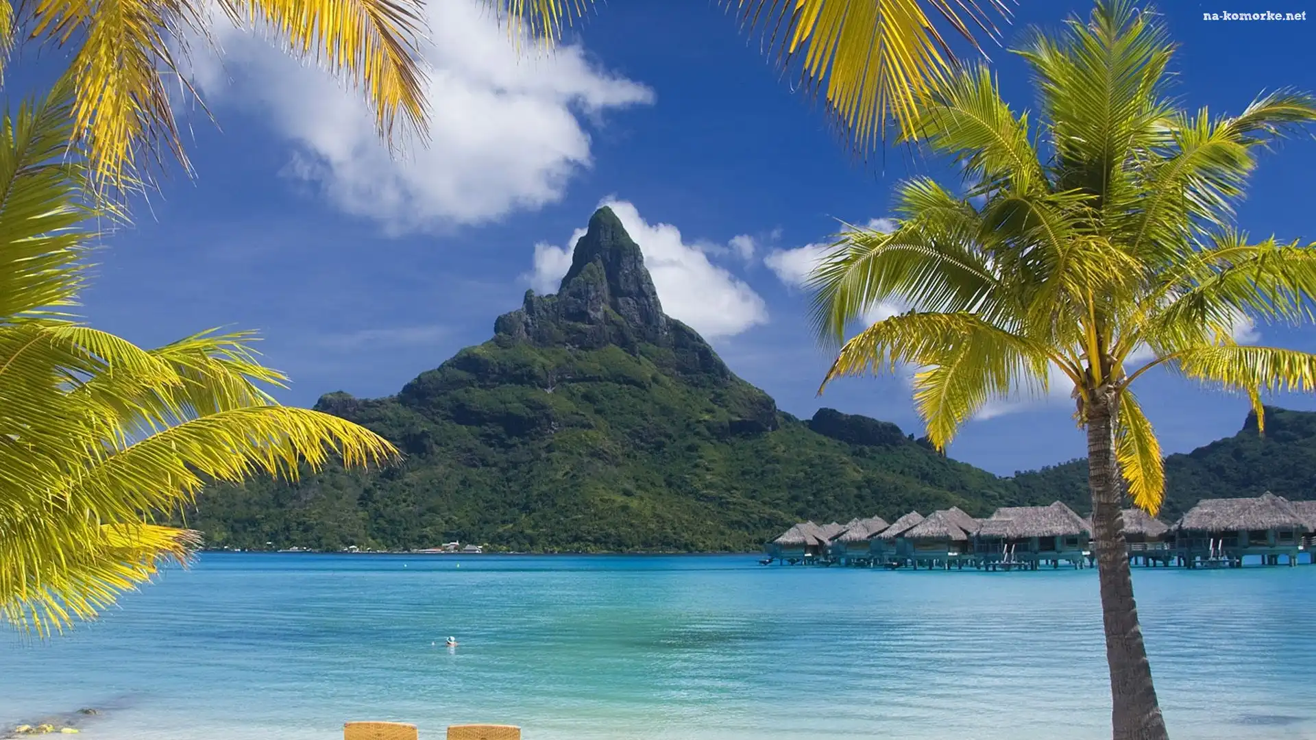 Góra, Bora Bora, Morze, Palmy