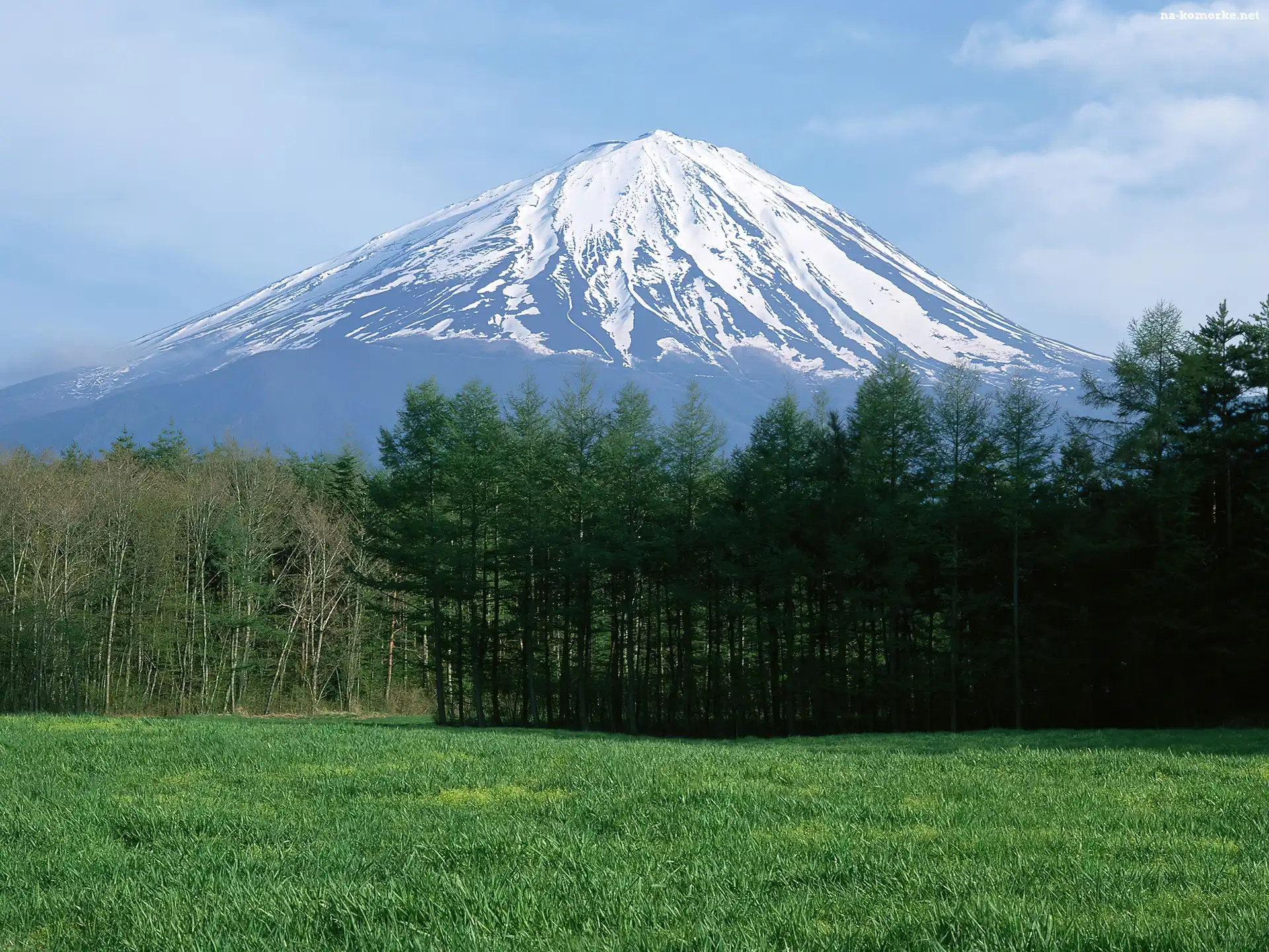 Góra, Trawa, Śnieg, Las