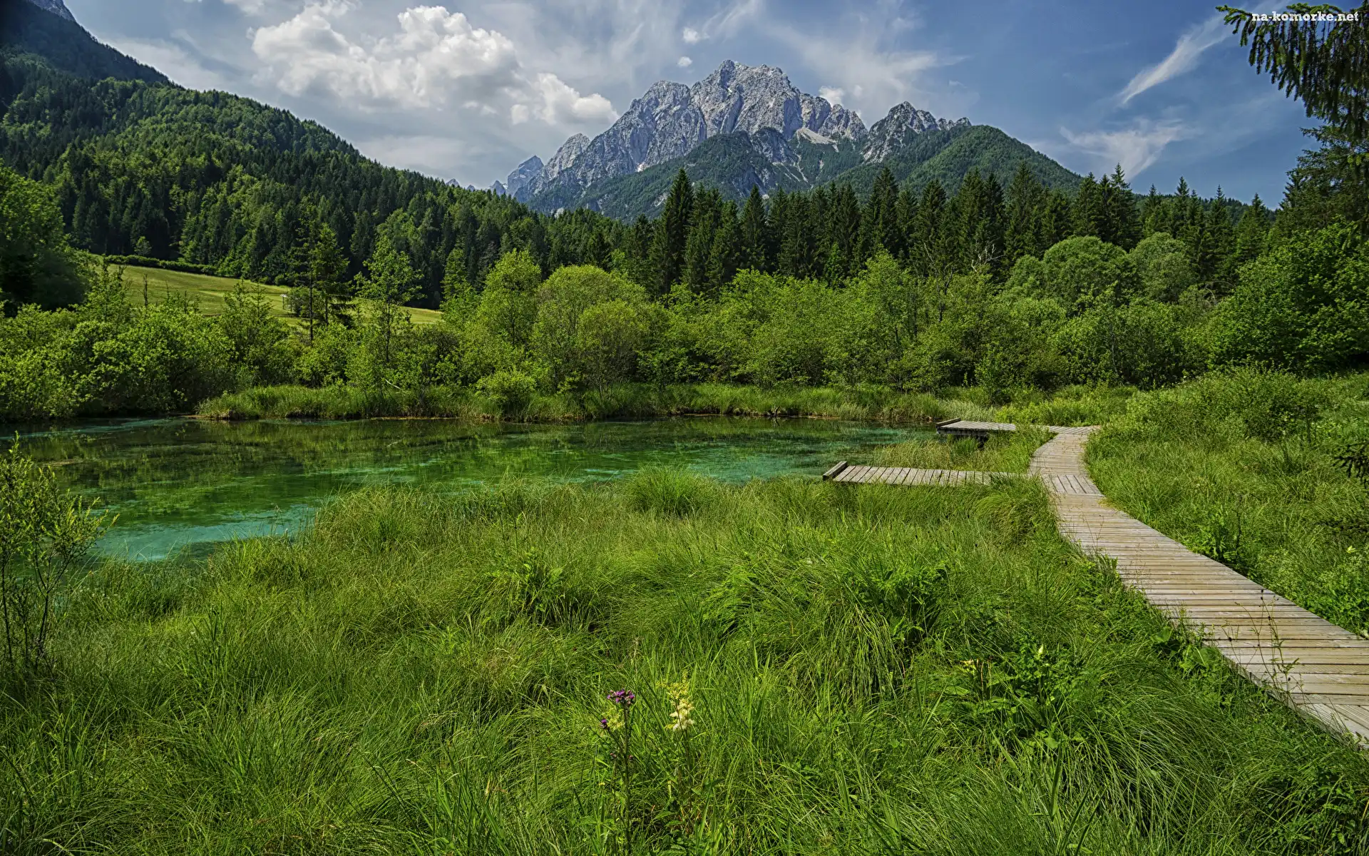 Góry, Kranjska Gora, Jezioro, Słowenia, Lasy, Rezerwat przyrody Zelenci, Trawa, Pomost