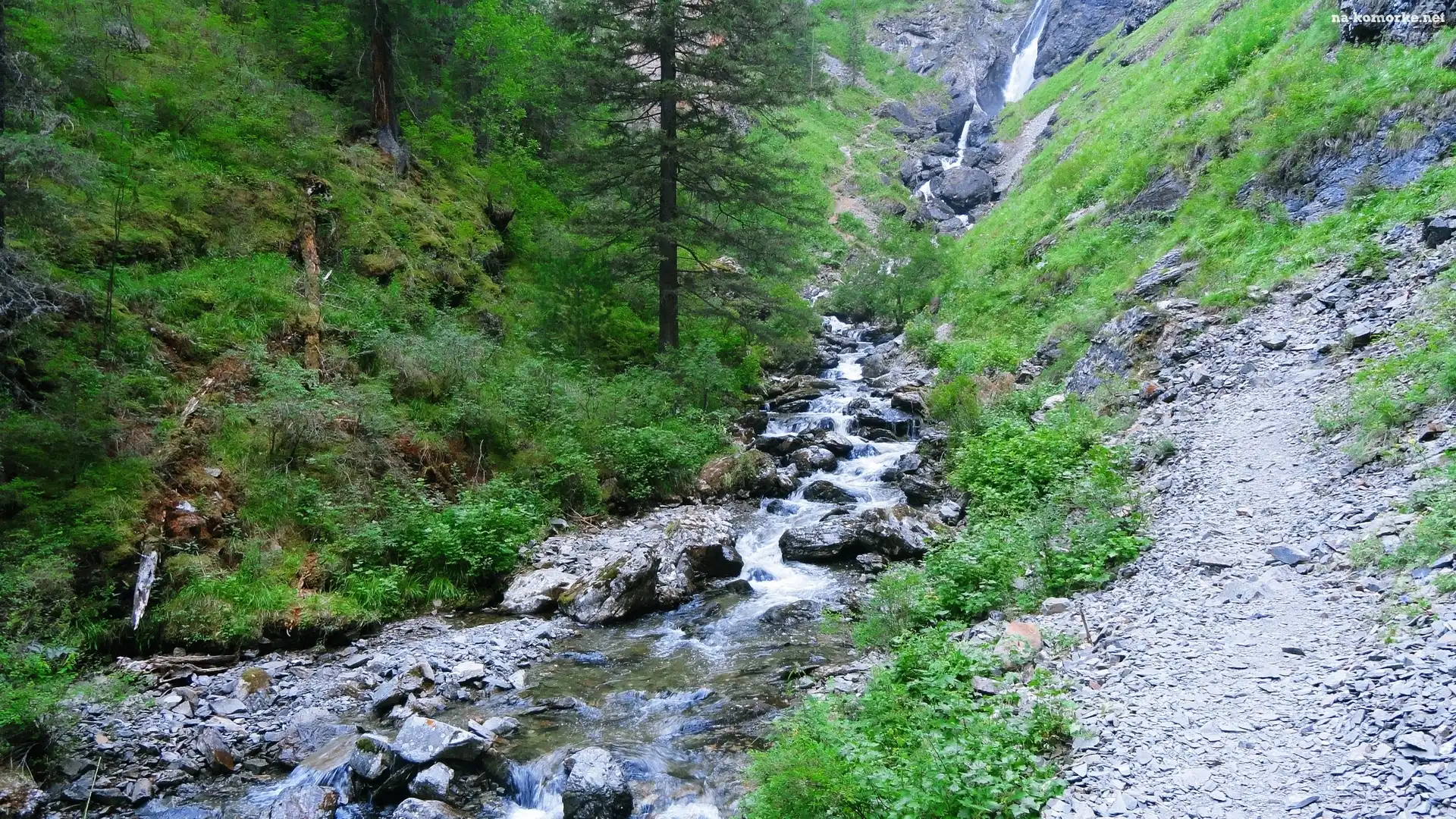 Górski, Kamienie, Potok, Lasy