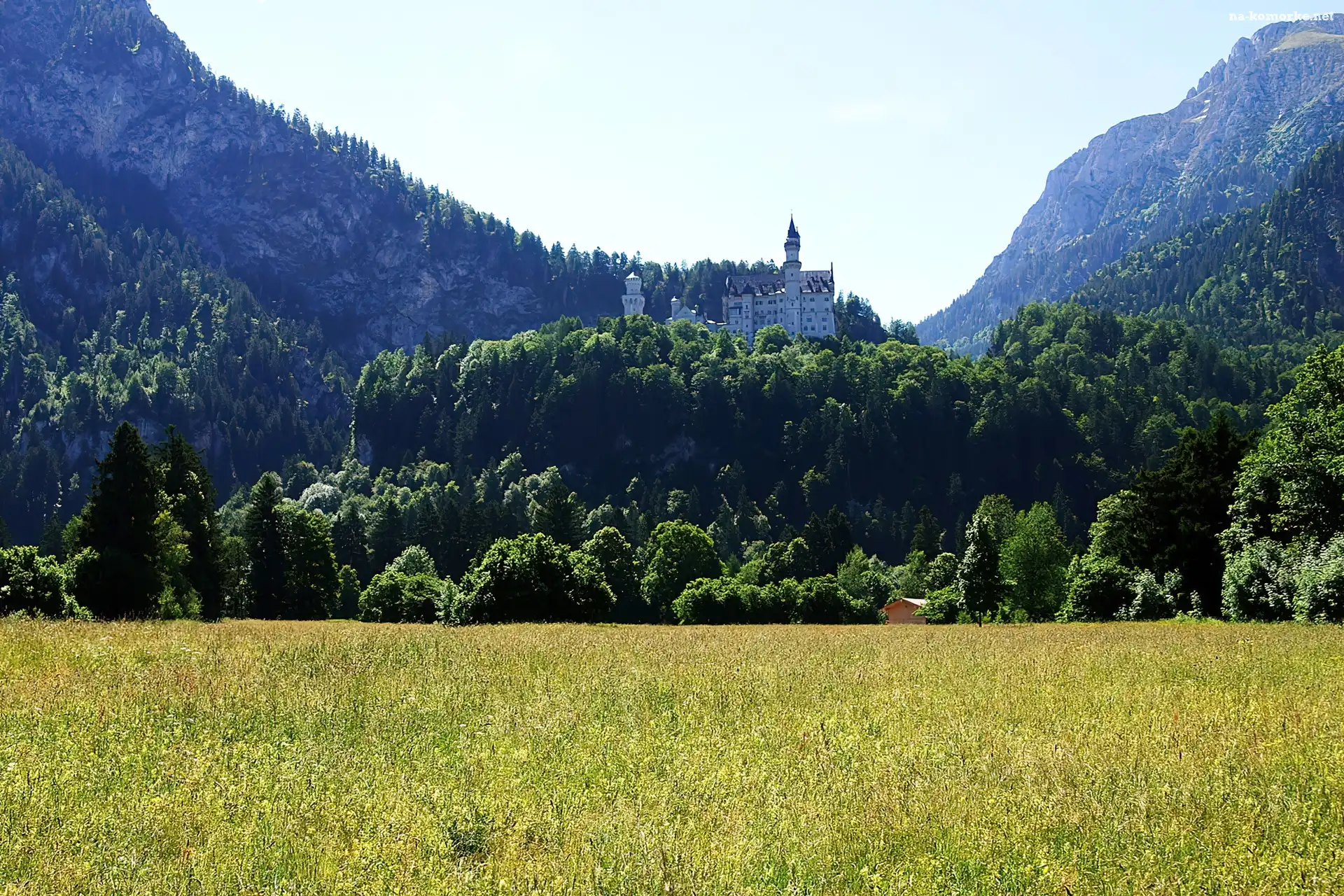 Góry, Zamek, Neuschwanstein, Łąka, Zalesione